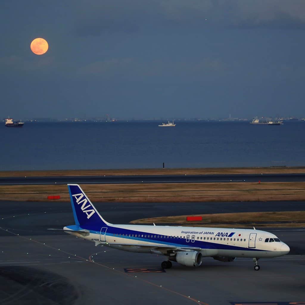 All Nippon Airwaysさんのインスタグラム写真 - (All Nippon AirwaysInstagram)「Grounded, but never at rest. Whether we’re transporting medical cargo or bringing passengers back home, we’re still hard at work keeping our community safe. It’s the ANA way. ✈️」5月20日 2時10分 - allnipponairways