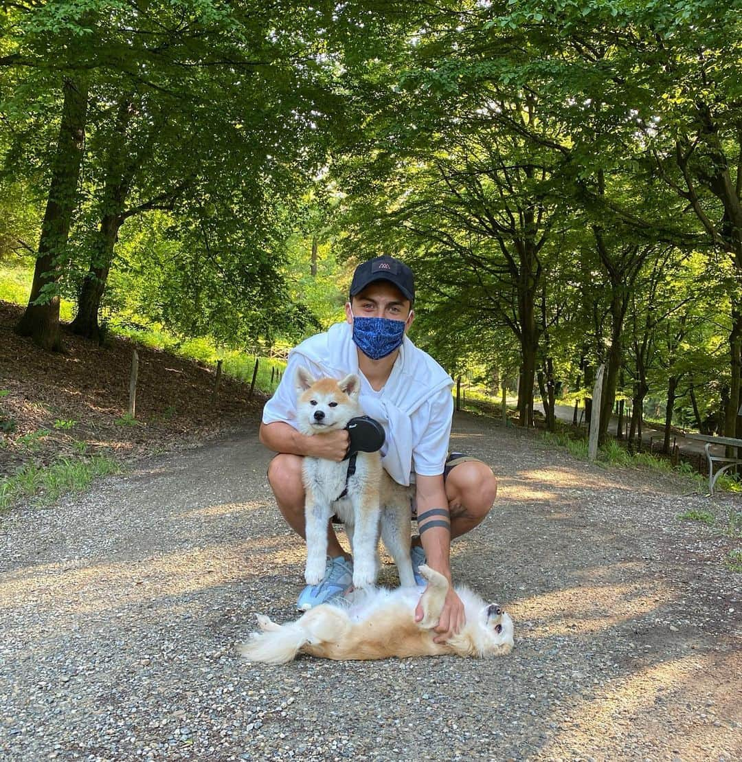 パウロ・ディバラさんのインスタグラム写真 - (パウロ・ディバラInstagram)「Tarde de parque 🐶🌲🍂」5月20日 2時34分 - paulodybala