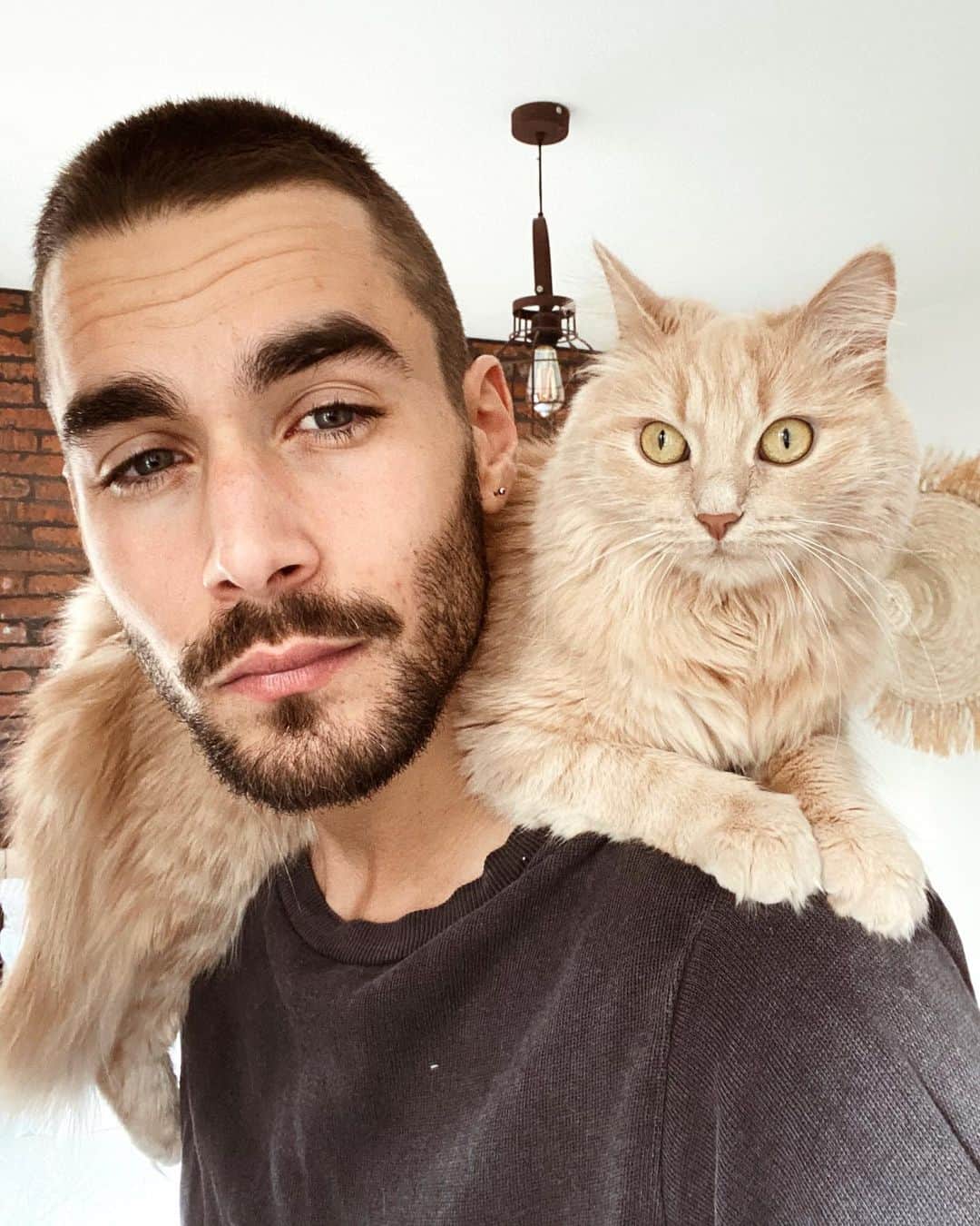 NICOLAS SIMOESのインスタグラム：「Mon selfie préféré 😺 #Concours Avec @royalcaninfrance, je vous propose de gagner 3 mois d’alimentation pour chien ou chat, ça vous tente ? Pour participer c’est très simple : - suivre @royalcaninfrance et @nicolassimoes - inviter 3 amis en commentaire 🤞🏻 Tirage au sort dans 3 jours! Bonne chance 😻  #royalcanin #collaboration」