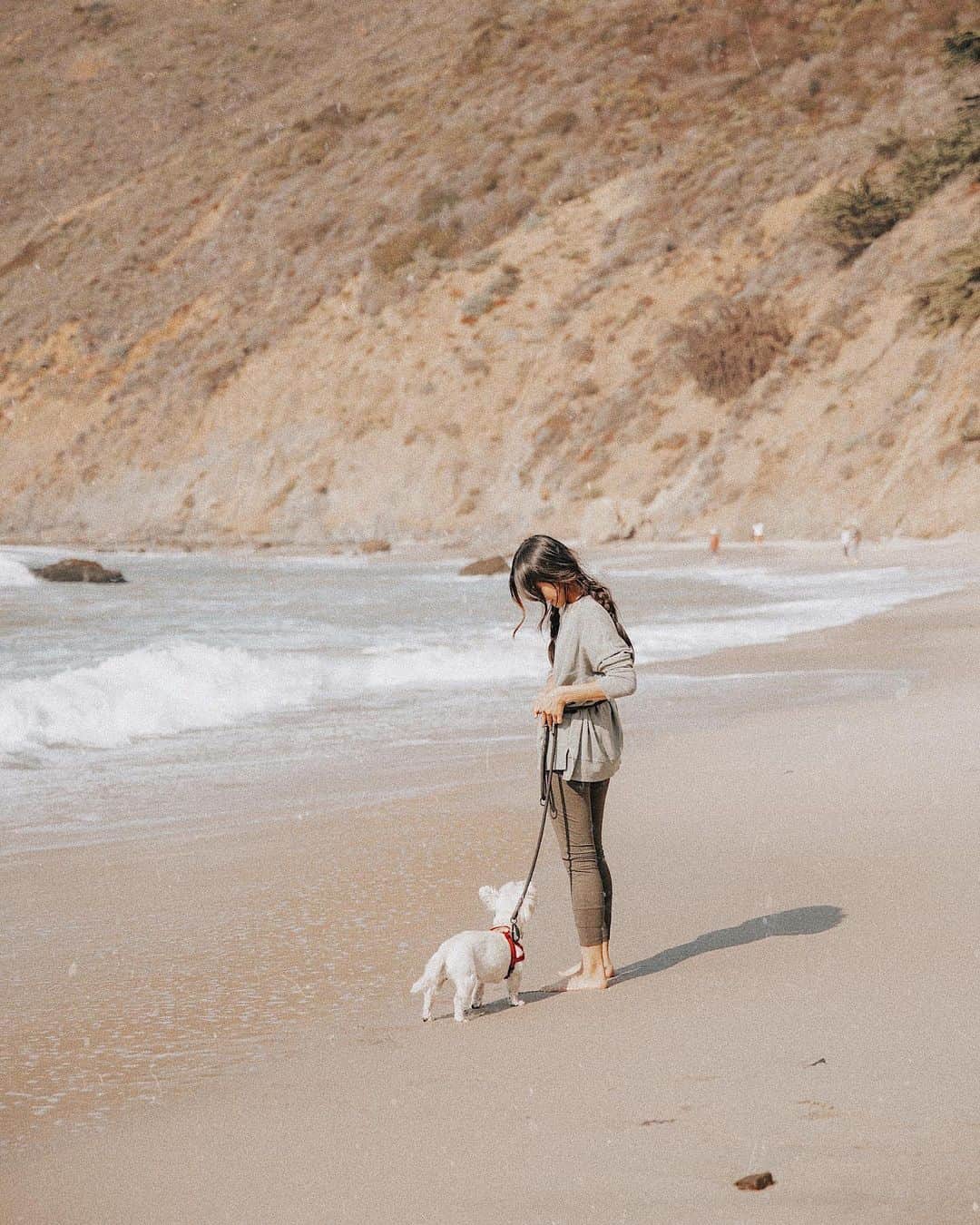 W E Y L I Eのインスタグラム：「Happy 15th birthday my old lady! 🎂 My first ever true friend and the best big sister to Navi, Michi, Miso & Sesame. With age, Money has grown to be the kindest & sweetest old lady. All of our days are brighter because of her. I’m so grateful to be celebrating another birthday with her. She’s the absolute BEST 🌸」