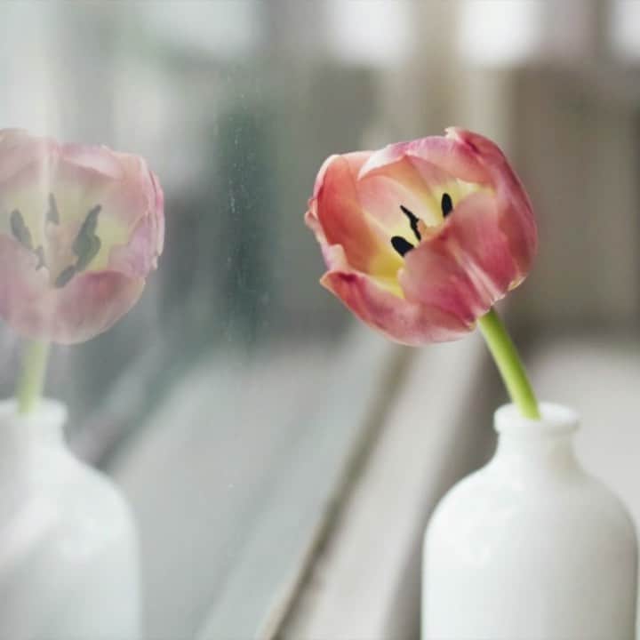 のインスタグラム：「🌷Angel Springs🌷」