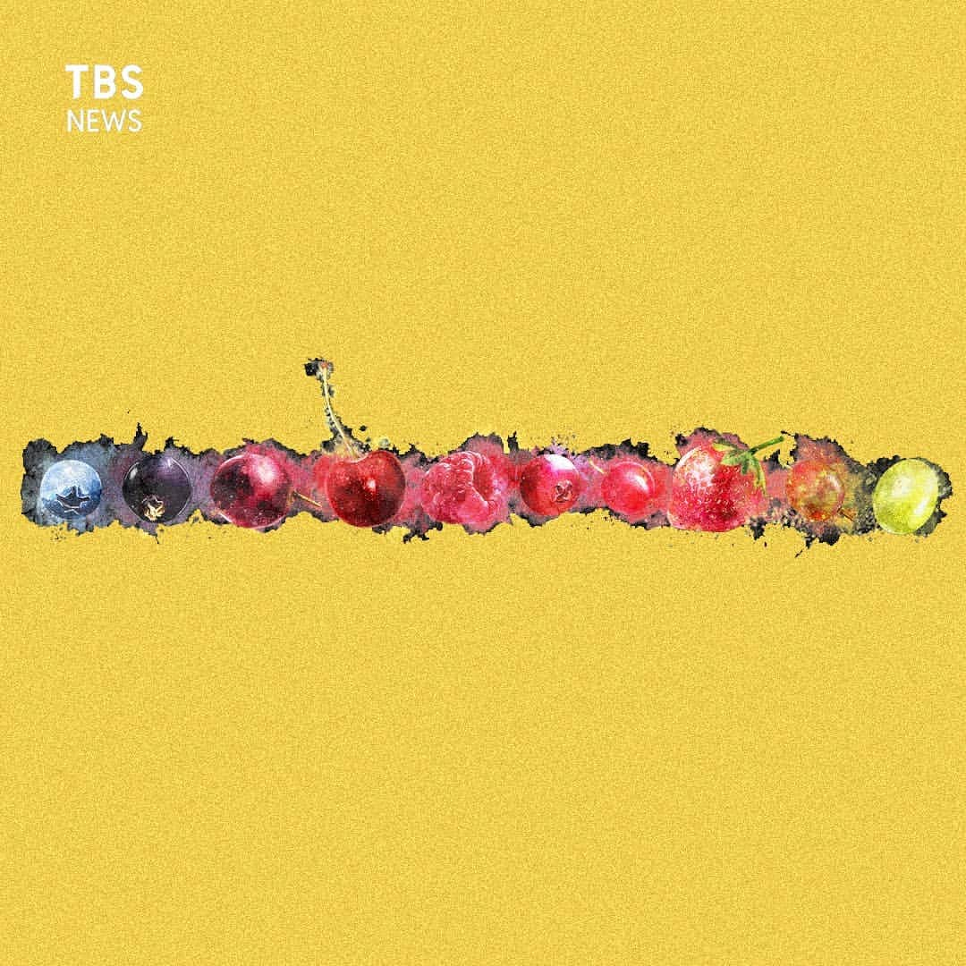 TBS NEWSのインスタグラム