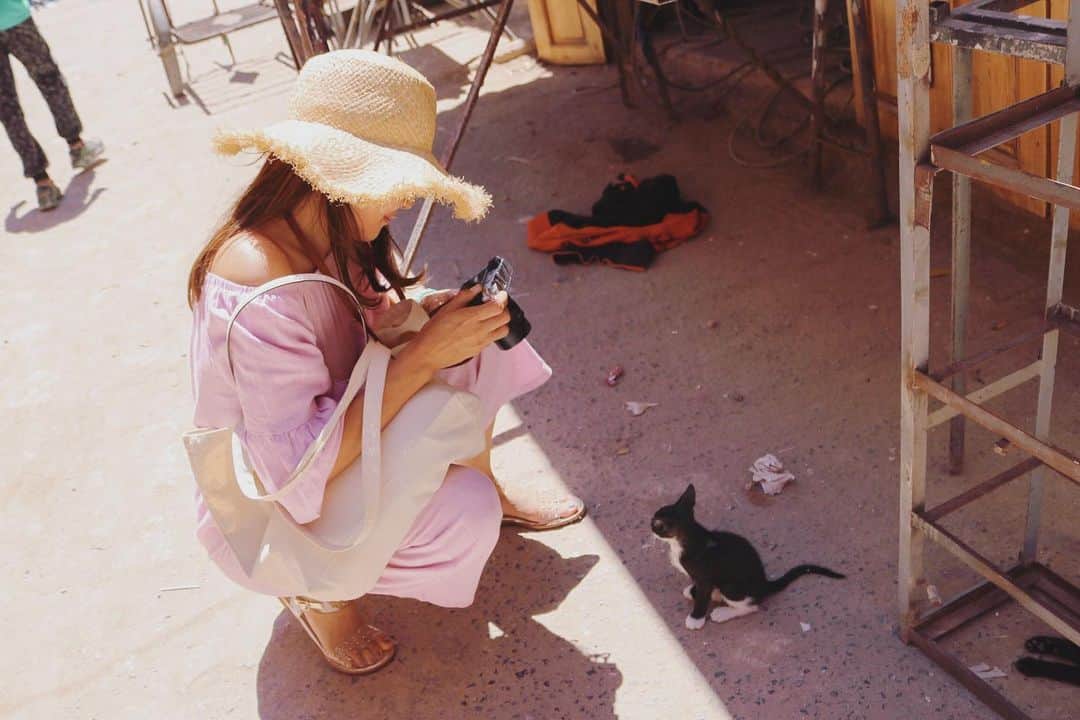 藤崎奈々子さんのインスタグラム写真 - (藤崎奈々子Instagram)「モロッコはとにかくどこにでもニャンコが🐈 猫切れを起こしていたので ニャンコに出会うたびに、写真ばかり撮っていました😅 ・ スークでは可愛いクッションカバーやラグが沢山売っています。 ラグ買いたかったけど、パリ→モロッコの飛行機が荷物制限があって大きなものが買えず😂 荷物制限のない飛行機があったのかな？ 次回は制限のない飛行機に乗ろう… ・  #モロッコ#ラバト#カメラ女子#写真#旅#海外旅行#旅好き女子#猫#morcco#rabat#trip」5月20日 7時36分 - nanakofujisaki