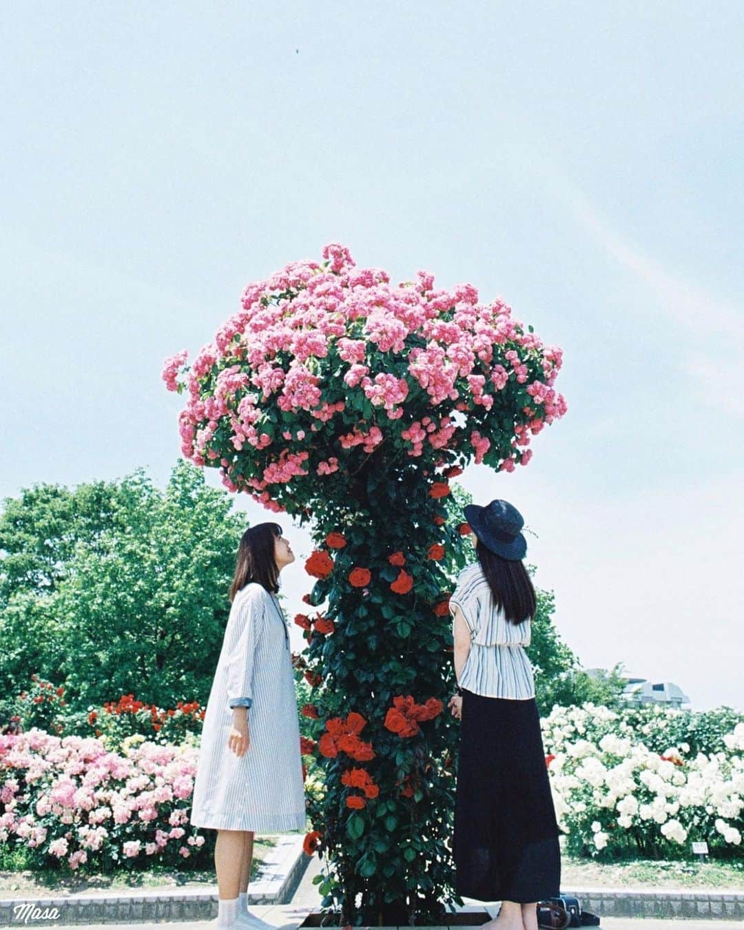 Masaのインスタグラム
