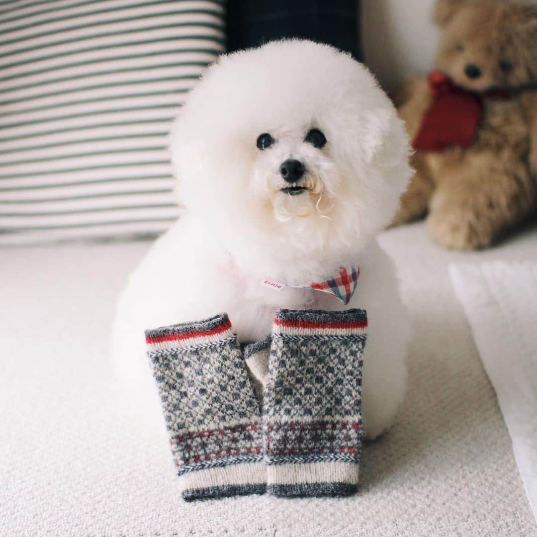 ゆうのインスタグラム：「. . 指だしミトンを編みました🧶 久しぶりの編み物楽しかった! handmade . 次はどんなのを編もうかな✨ . . なかなか更新しないけど（笑） ハンドメイドの記録を @ernie_pooh_2  に アップしていきたいと思います🐶✨ . . . #見てやってもいいけど #と思って下さる方がいらっしゃったら #たまに覗いてやってください . . . .」