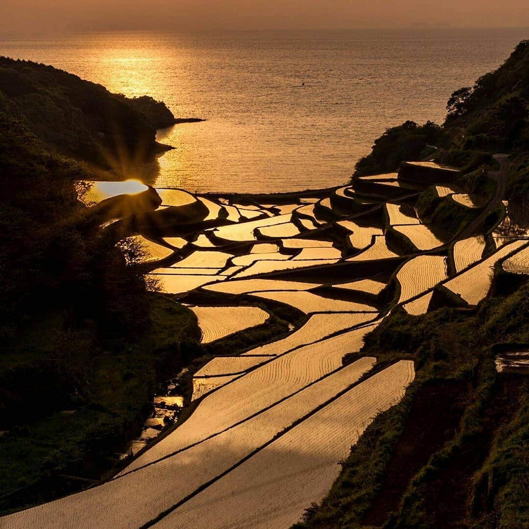 楽天トラベル さんのインスタグラム写真 - (楽天トラベル Instagram)「こんにちは😊 #おうちで旅体験 今日は美しい夕景の写真をお届けします。夕焼けで赤くに染まる景色は時間を忘れて眺めてしまいますよね。 #次の旅先リスト に夕日がきれいに見られる場所はいかがでしょう。 ーーーーーーーーーーーーーー 1枚目 📍 静岡県 伊豆 稲取温泉 📷 @inatorisou ーーーーーーーーーーーーーー 2枚目 📍 佐賀県 浜ノ浦棚田 📷 @sakura.hill ーーーーーーーーーーーーーー 3枚目 📍 香川県 父母ヶ浜 📷 @shinsaibashi_y71 ーーーーーーーーーーーーーー 4枚目 📍 千葉県 中の島大橋 📷 @ringo_kumi ーーーーーーーーーーーーーー 5枚目 📍 滋賀県 白髭神社 📷 @kenta.n_21 ーーーーーーーーーーーーーー . . みなさんの #次の旅先リスト もぜひ教えて下さいね☀ ーーーーーーーーーーーーーー 旅先で出会った美しい風景や絶品グルメなどを #おうちで旅体験 と #rakutentravel を付けてぜひシェアしてください😊 このアカウントでご紹介させていただきます💗 ーーーーーーーーーーーーーー . . #楽天トラベル #旅行好きな人と繋がりたい #旅したくなるフォト #旅行 #国内旅行 #おうち旅行 #おうちで旅行気分 #エア旅 #TravelFromHome #おうち時間 #travel #trip #写真で旅をしよう #夕日 #夕焼け #夕日が綺麗 #夕焼け空 #夕焼けの空 #夕焼けが好き #夕景」5月20日 17時50分 - rakutentravel
