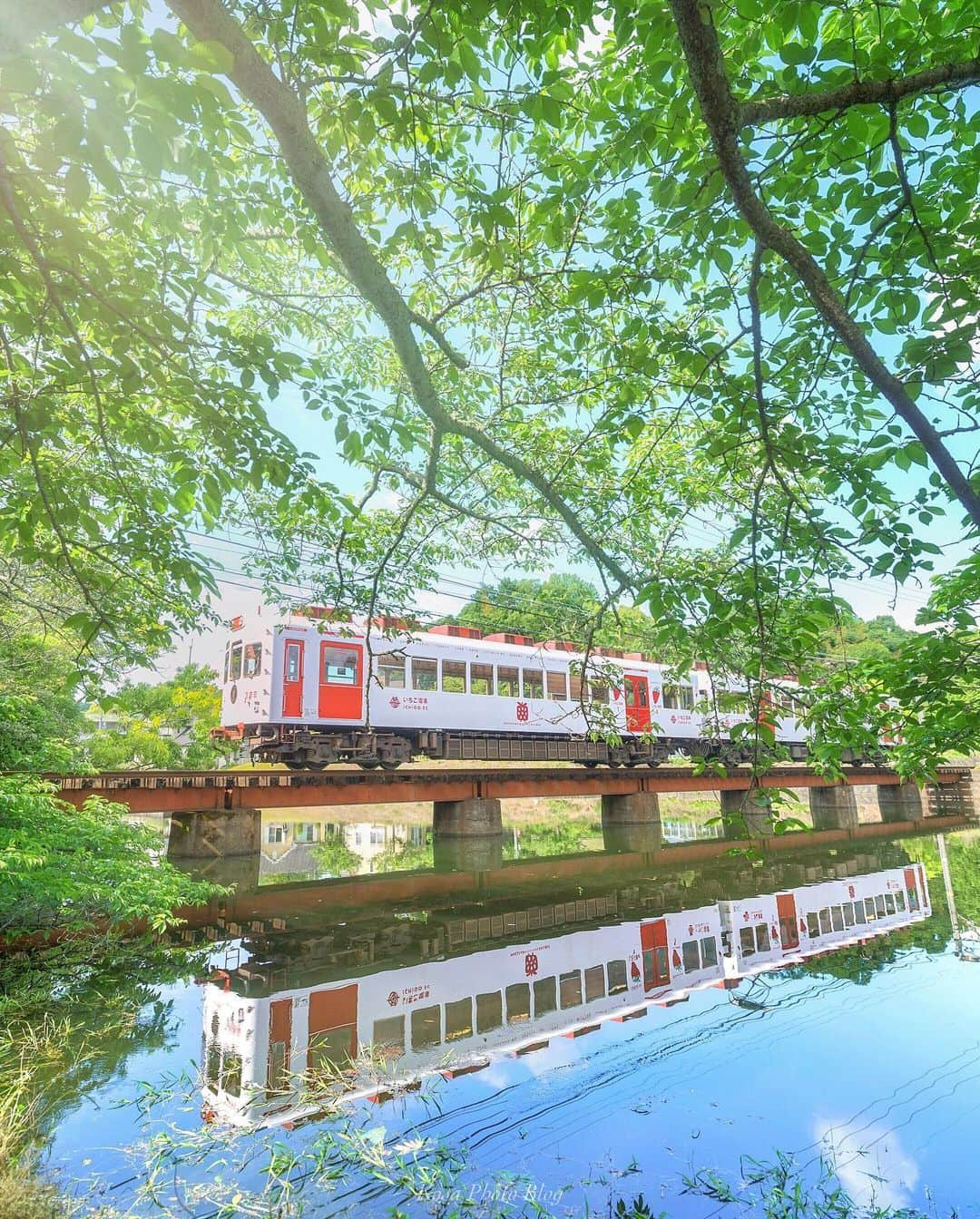 コサさんのインスタグラム写真 - (コサInstagram)「🚃踏切の音が聴こえる🎵 水面は美しい水鏡！！😍 お願い、早く電車きてぇーーー🙏 お願い、風は吹かないでぇーーー🙏 切実な願いが通じて いちご電車が上下で2台撮れました🙆‍♂️👍 . Location:和歌山 Wakayama / Japan Data:2020.5 . #貴志川線 #和歌山 #和歌山電鐵 #traingallery_ig #Japan_Daytime_View #sorakataphoto #insta_wakayama #グッドトリップ和歌山 #IGersJP #LBJ_VIP #art_of_japan_ #tokyocameraclub #dpi_member #いちご電車 #IG_PHOS #photo_jpn #ptk_japan #pt_life_ #bestjapanpics #Lovers_Nippon #YourShotPhotographer #Impressive_gallery #light_nikon #広がり同盟メンバー #Rox_Captures #kf_gallery_vip #Lap_2020 #colore_de_saison #jgrv_member #bestphoto_japan」5月20日 18時14分 - kosa_photo