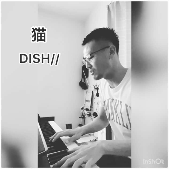 島川俊郎のインスタグラム：「#猫  #dish #あいみょん  #歌ってみた  リクエストをたくさん頂いてまして、その中には知らない曲もあるわけで。 きいてみたら大好きになった曲。 ありがとうございます。」