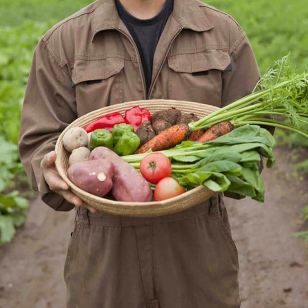 10mois(ディモワ) web shopさんのインスタグラム写真 - (10mois(ディモワ) web shopInstagram)「オーガニックベビーフードを5月末までの限定でweb販売しています！﻿ ﻿ 有機＆無農薬のお野菜と天然だしで手作りしたオーガニックベビーフードです。﻿ ﻿ 器なしで直接スプーンに出して食べられるパッケージなのでとても便利です。﻿ ﻿ かぼちゃやチンゲンサイ、玉ねぎなど、色々なお野菜の物をそろえています！﻿ ﻿ ﻿ #10mois #ディモワ#ベビーグッズ #離乳食初期 #離乳食 #beans #オーガニックベビーフード #オーガニック離乳食 #babyorgente」5月20日 18時20分 - 10mois_official