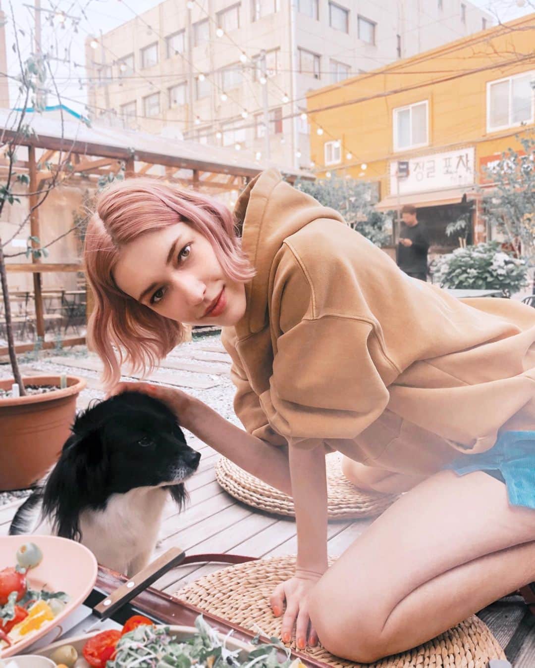 ステファニー・ミチョヴァのインスタグラム：「Ggomi the polite food begger 🥰🙈 음식 앞에서는 정말 예의 바른 강아지 ㅋㅋㅋ 🐶」