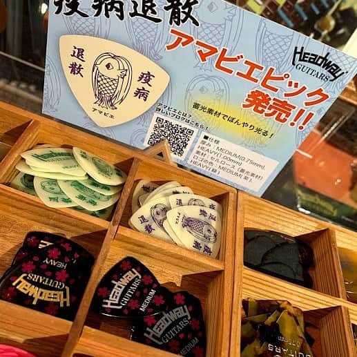 Deviserさんのインスタグラム写真 - (DeviserInstagram)「Headwayアマビエピック発売開始です！ 皆さま！大変お待たせいたしました！ Headwayアマビエピックが遂に入荷いたしましたよ～ 順次、店頭へ並んで参りますので、水色のポップを目印に探してみてください！！ https://deviser.co.jp/headway/content/2020520amabiepick  #deviser #headway #ヘッドウェイ #あまびえ #あまびえチャレンジ #アマビエ様 #アマビエ #アマビエチャレンジ #ピック#アコースティックギター #アコギ」5月20日 18時50分 - deviser2016