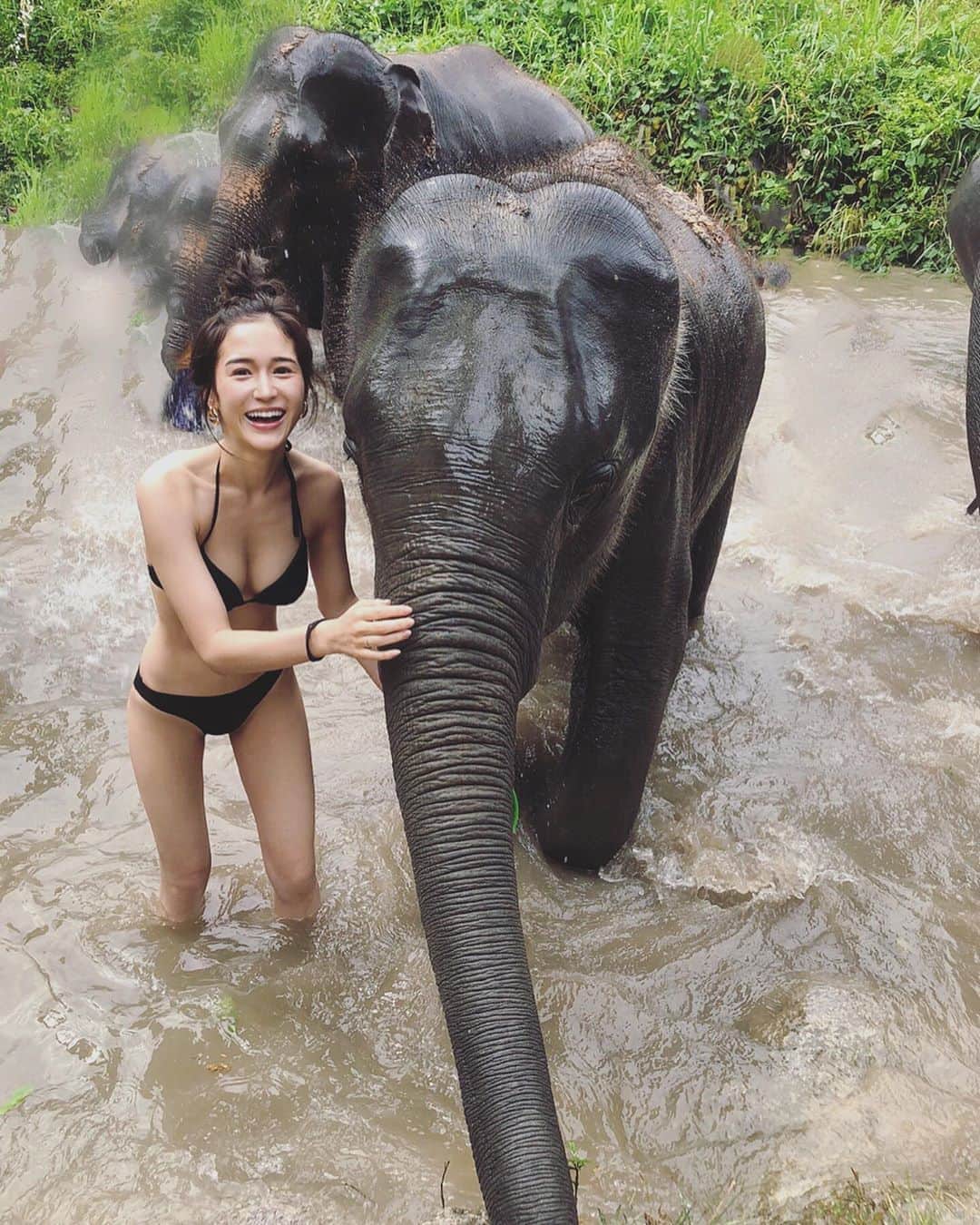 fukishaljのインスタグラム：「Elephant shelter #tbt 象🐘さんの保護施設に母と行ったとき、さいごはいっしょに水浴びして身体洗いっこしたよ　😁🛁 ・ ・ 元々、サーカスやイスの上に人を乗せて散歩してる団体などで 働いていて虐待されたり背中を壊してしまった子たちが保護されたりしている場所なんだ。 ここで保護されているこたちは、 スタッフさんが「FAMILY」って象さん達のことを いっていてしあわせそう生きていたよ！ まだまだ象のショーや 身体の上に椅子を乗せて移動したりする所も多いけれど、 「象の保護施設」 って検索すると いろんな施設がヒットするので そちらで触れ合ったりできるのが広まればうれしいなっ😊 いまはまだ行けないけれど。 COVID-19が落ち着いて、 タイなど行く時があれば訪れてみてほしい、ばしょのひとつです。😊」