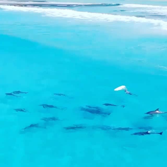 宇治田みのるのインスタグラム