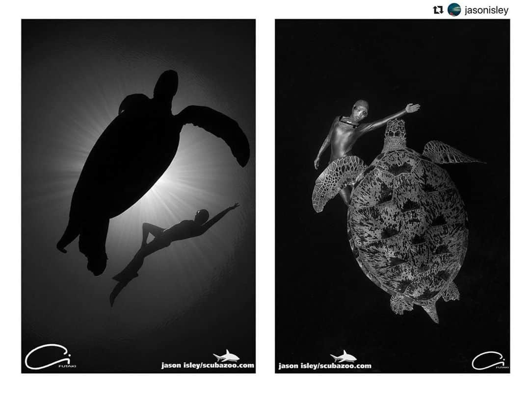 二木あいさんのインスタグラム写真 - (二木あいInstagram)「Photographed @jasonisley  Freediver @aifutaki  and green turtle at #sipadan - two variations of the same subject. Having so many friendly turtles at Sipadan its very easy to try many different angles especially when you also have such a talented freediver. . . @scuba.zoo @pinnacleaquatics @diverite84 @nauticamhousings @nauticam.images @sabahtourism #borneo @divephotoguide @divemag @wetpixelgram」5月20日 12時53分 - aifutaki