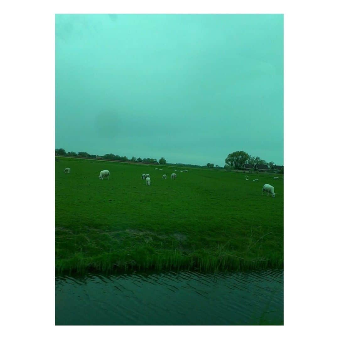 理絵さんのインスタグラム写真 - (理絵Instagram)「今日のような天気の日には  むかし撮影でオランダへ行ったときのことを思い出す  5月でなんとなく曇りがちでなかなかスッキリ晴れずにいた日々  でも良い体験だったな  #nederland #schagen #holland #オランダ #思い出」5月20日 17時01分 - ____rie____