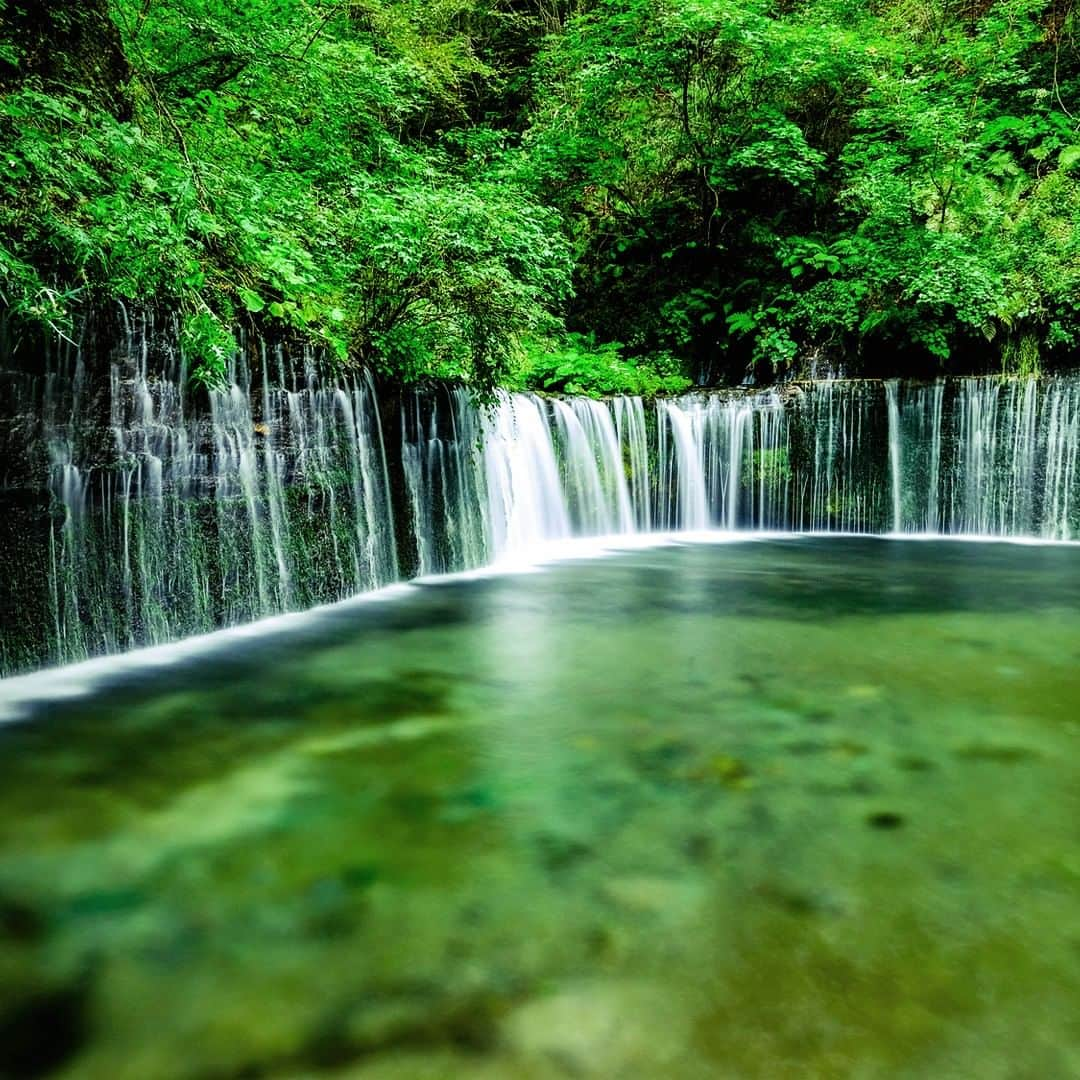 JALさんのインスタグラム写真 - (JALInstagram)「. Wishing we could see the picturesque #ShiraitoFalls and hear its soothing sounds right about now. #PicturePerfectMay  湾曲したフォルムが美しい #白糸の滝✨ 新緑と水の音に癒やされます🌲 . . Post your memories with #FlyJAL #旅を夢見て  #JapanAirlines  #STAYHOME #japan #karuizawa」5月20日 17時30分 - japanairlines_jal