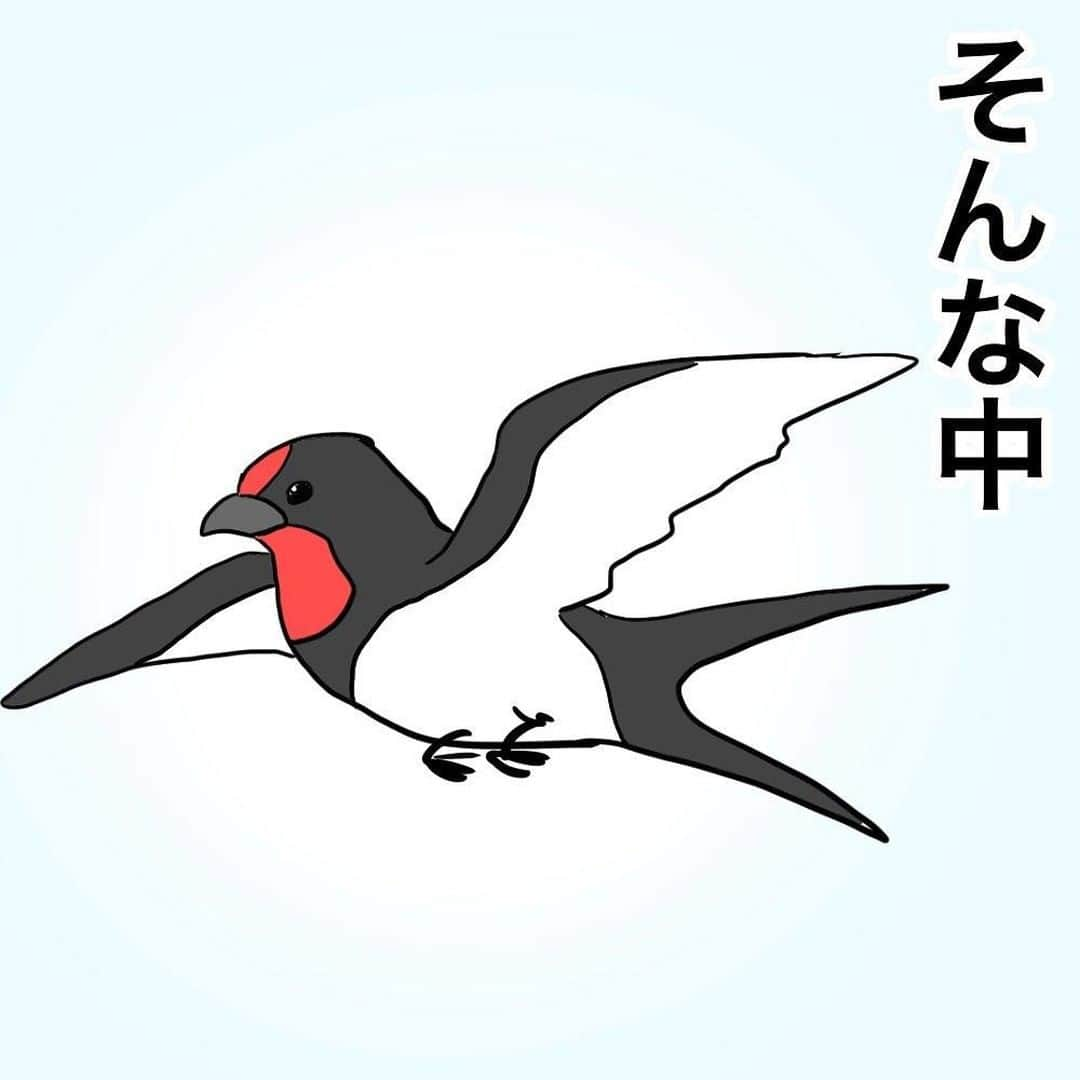 ママリさんのインスタグラム写真 - (ママリInstagram)「今みたいなときに頑張っているのを見ると、なんでもないことでも元気をもらえますね😭❤ #ママリ ⠀﻿⁠⁠⠀⁠ ⁠.⠀⠀﻿⁠⠀⁠ お子さんの優しさにもほっこり・・・❤⁠ . ⁠ ＝＝＝⠀⠀⁠ .⁠ つばめの夫婦の団結力と労働力に脱帽の毎日です。⁠ . ⁠ ＝＝＝ ⁠ . ⠀﻿⁠⠀⁠ @mamemi7184 さん、素敵な投稿ありがとうございました✨⁠⠀⁠ . ⁠⠀⁠ ⌒⌒⌒⌒⌒⌒⌒⌒⌒⌒⌒⌒⌒⌒⌒⌒*⁣⠀﻿⁠⠀⁠⠀⁠ みんなのおすすめアイテム教えて❤ ​⠀﻿⁠⠀⁠⠀⁠ #ママリ口コミ大賞 ​⁣⠀﻿⁠⠀⁠⠀⁠ ⠀﻿⁠⠀⁠⠀⁠ ⁣新米ママの毎日は初めてのことだらけ！⁣⁣⠀﻿⁠⠀⁠⠀⁠ その1つが、買い物。 ⁣⁣⠀﻿⁠⠀⁠⠀⁠ ⁣⁣⠀﻿⁠⠀⁠⠀⁠ 「家族のために後悔しない選択をしたい…」 ⁣⁣⠀﻿⁠⠀⁠⠀⁠ ⁣⁣⠀﻿⁠⠀⁠⠀⁠ そんなママさんのために、⁣⁣⠀﻿⁠⠀⁠⠀⁠ ＼子育てで役立った！／ ⁣⁣⠀﻿⁠⠀⁠⠀⁠ ⁣⁣⠀﻿⁠⠀⁠⠀⁠ あなたのおすすめグッズ教えてください🙏 ​ ​ ⁣⁣⠀﻿⁠⠀⁠⠀⁠ ⠀﻿⁠⠀⁠⠀⁠ 【応募方法】⠀﻿⁠⠀⁠⠀⁠ #ママリ口コミ大賞 をつけて、⠀﻿⁠⠀⁠⠀⁠ アイテム・サービスの口コミを投稿するだけ✨⠀﻿⁠⠀⁠⠀⁠ ⁣⁣⠀﻿⁠⠀⁠⠀⁠ (例)⠀﻿⁠⠀⁠⠀⁠ 「このママバッグは神だった」⁣⁣⠀﻿⁠⠀⁠⠀⁠ 「これで寝かしつけ助かった！」⠀﻿⁠⠀⁠⠀⁠ ⠀﻿⁠⠀⁠⠀⁠ あなたのおすすめ、お待ちしてます ​⠀﻿⁠⠀⁠⠀⁠ ⁣⠀⠀﻿⁠⠀⁠⠀⁠ * ⌒⌒⌒⌒⌒⌒⌒⌒⌒⌒⌒⌒⌒⌒⌒⌒*⁣⠀⠀⠀⁣⠀⠀﻿⁠⠀⁠⠀⁠ ⁣💫先輩ママに聞きたいことありませんか？💫⠀⠀⠀⠀⁣⠀⠀﻿⁠⠀⁠⠀⁠ .⠀⠀⠀⠀⠀⠀⁣⠀⠀﻿⁠⠀⁠⠀⁠ 「悪阻っていつまでつづくの？」⠀⠀⠀⠀⠀⠀⠀⁣⠀⠀﻿⁠⠀⁠⠀⁠ 「妊娠から出産までにかかる費用は？」⠀⠀⠀⠀⠀⠀⠀⁣⠀⠀﻿⁠⠀⁠⠀⁠ 「陣痛・出産エピソードを教えてほしい！」⠀⠀⠀⠀⠀⠀⠀⁣⠀⠀﻿⁠⠀⁠⠀⁠ .⠀⠀⠀⠀⠀⠀⁣⠀⠀﻿⁠⠀⁠⠀⁠ あなたの回答が、誰かの支えになる。⠀⠀⠀⠀⠀⠀⠀⁣⠀⠀﻿⁠⠀⁠⠀⁠ .⠀⠀⠀⠀⠀⠀⁣⠀⠀﻿⁠⠀⠀⠀⠀⠀⠀⠀⠀⠀⠀⠀⠀⁠⠀⁠⠀⁠ 👶🏻　💐　👶🏻　💐　👶🏻 💐　👶🏻 💐﻿⁠ #育児日記 #育児漫画 #コミックエッセイ #イラストエッセイ #イラスト #子育て #育児絵日記 #絵日記 #エッセイ漫画 #子育て漫画 #子育て記録 #子育てあるある #育児あるある #ママあるある #デジタルツイート #つばめ#0歳 #1歳 #2歳 #3歳 #ツバメ #産後 #団結力#コロナに負けるな#コロナに負けないぞ#4歳#巣作り」6月4日 12時03分 - mamari_official