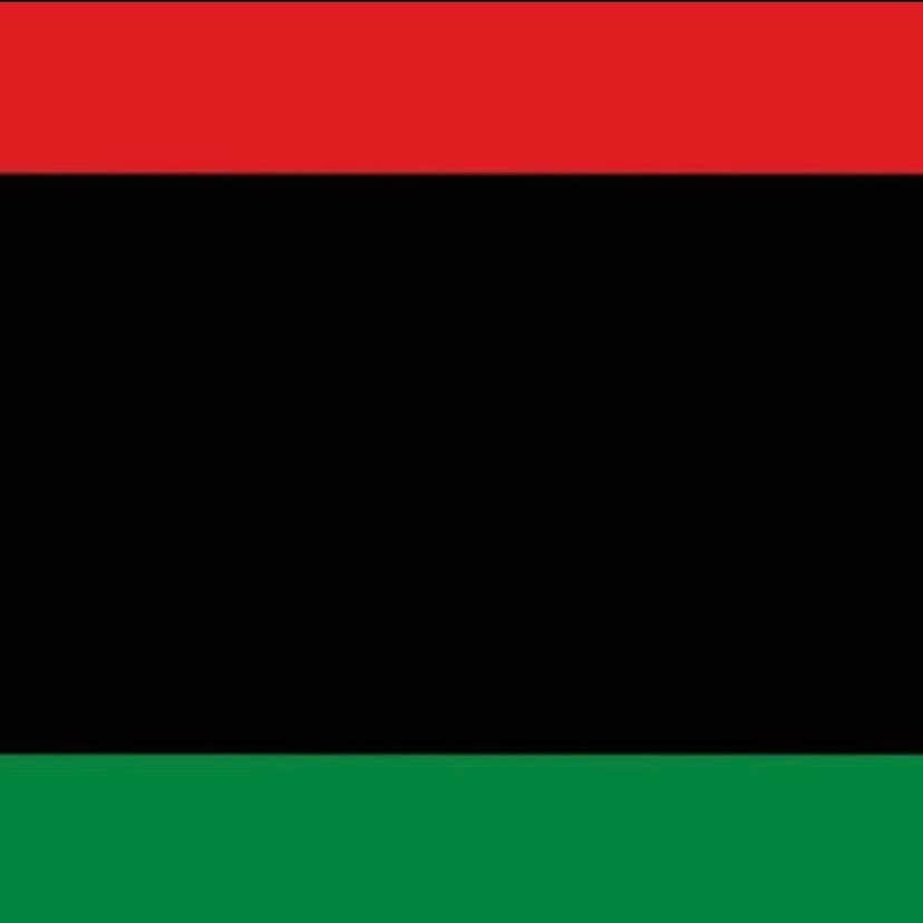 ティファニー・キャデラックさんのインスタグラム写真 - (ティファニー・キャデラックInstagram)「Y’all should have at least done it this way #blackliberation #blackpowermatters #panafrican #ubuntu #uhuru #africaunite #garveyite」6月4日 12時06分 - fruitimami