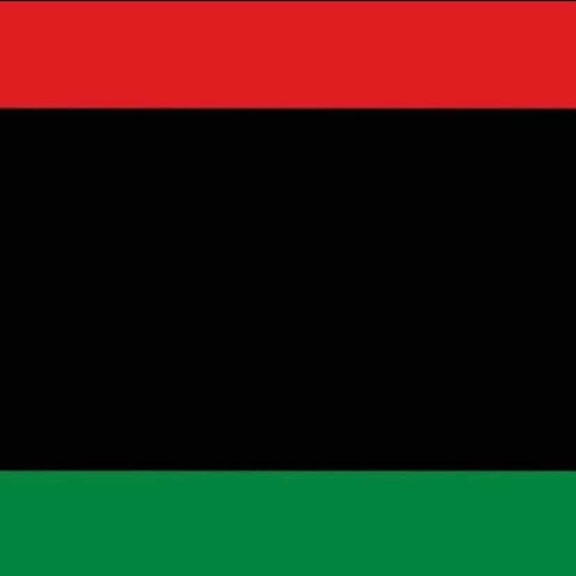 ティファニー・キャデラックさんのインスタグラム写真 - (ティファニー・キャデラックInstagram)「Y’all should have at least done it this way #blackliberation #blackpowermatters #panafrican #ubuntu #uhuru #africaunite #garveyite」6月4日 12時06分 - fruitimami