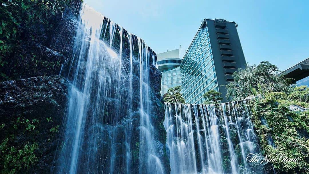 ホテル ニューオータニさんのインスタグラム写真 - (ホテル ニューオータニInstagram)「【ホテル公式「バーチャル背景」 第1弾】﻿ ﻿ 日本庭園の大滝から見上げる本館ザ・メインの構図がダイナミックな一枚。涼しげな雰囲気で、暑さが厳しくなってきた今の時期におすすめです。﻿ ﻿ ◇ 個人がWeb・TV会議アプリケーション等の背景として使用することを目的として提供いたします。﻿ ◇ダウンロードはホテル公式Facebook: 🔍ホテルニューオータニ より（当アカウントストーリーズハイライトよりFacebook該当ページへ）﻿ ﻿ 【Hotel Photos for Virtual Background①】﻿ ﻿ Download Hotel New Otani Tokyo’s Virtual Background to display an image as your background during a web meeting! ﻿ ﻿ ◇Personal-use only﻿ ◇Download is available from official Facebook account: 🔍 Hotel New Otani Tokyo」6月4日 12時46分 - hotelnewotanitokyo