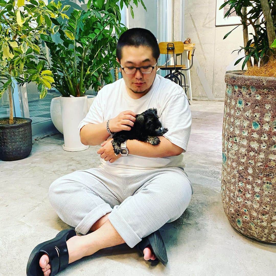 三浦崇宏さんのインスタグラム写真 - (三浦崇宏Instagram)「#dogstagram  #newfamily  #dog #instagood  #インスタグラムといえば子犬と聞いて」6月4日 13時12分 - takahiro3ura