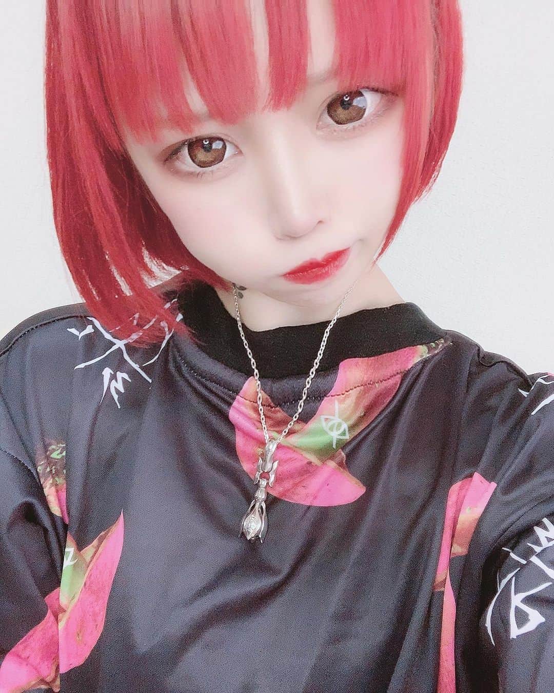 ももかわのインスタグラム：「。 最近暑い😵💦 筋トレで毎日の様に汗かいてる 強くなった気がする わざとぶつかってくるおっさん殴りたい  見たことなかったから とらドラ!見てる🐯 くぎゅ  そういえば 新たに30人くらいの感染者が出たそうで やっぱ街にでなくて正解だった😣 あほや💫  インスタの使い方下手🐾」