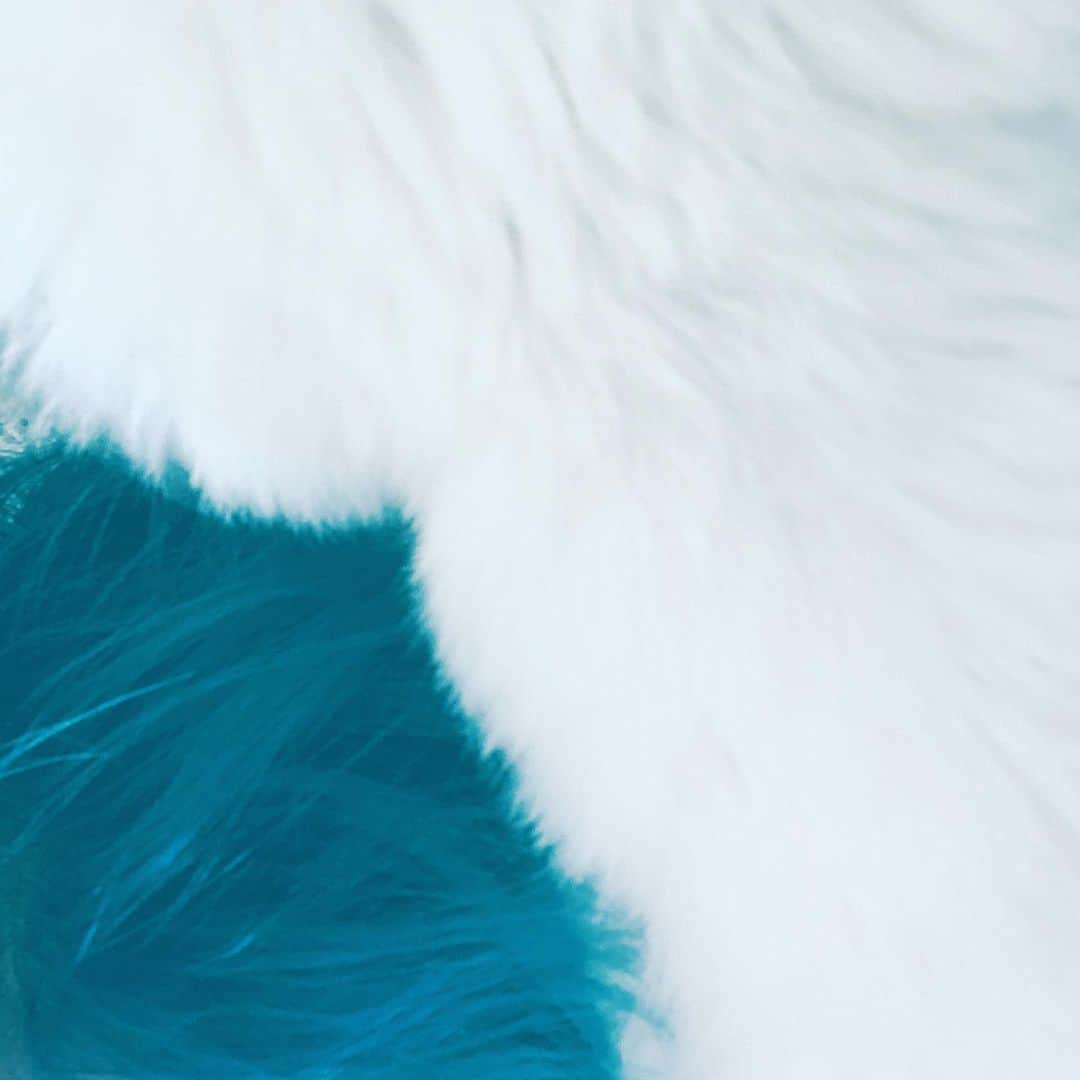 のインスタグラム：「#white #blue #hair #me #and #akane #together #hope」