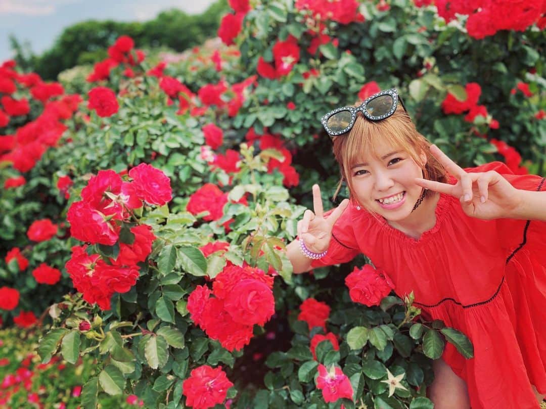 桃野美桜さんのインスタグラム写真 - (桃野美桜Instagram)「これはレオみたいなバラとのツーショット！！ #井坂レオ #同い年 #たぶん美桜のほうがつよい #たいがいまぶしそうだな #marvelouspro」6月4日 8時50分 - marvelousmio