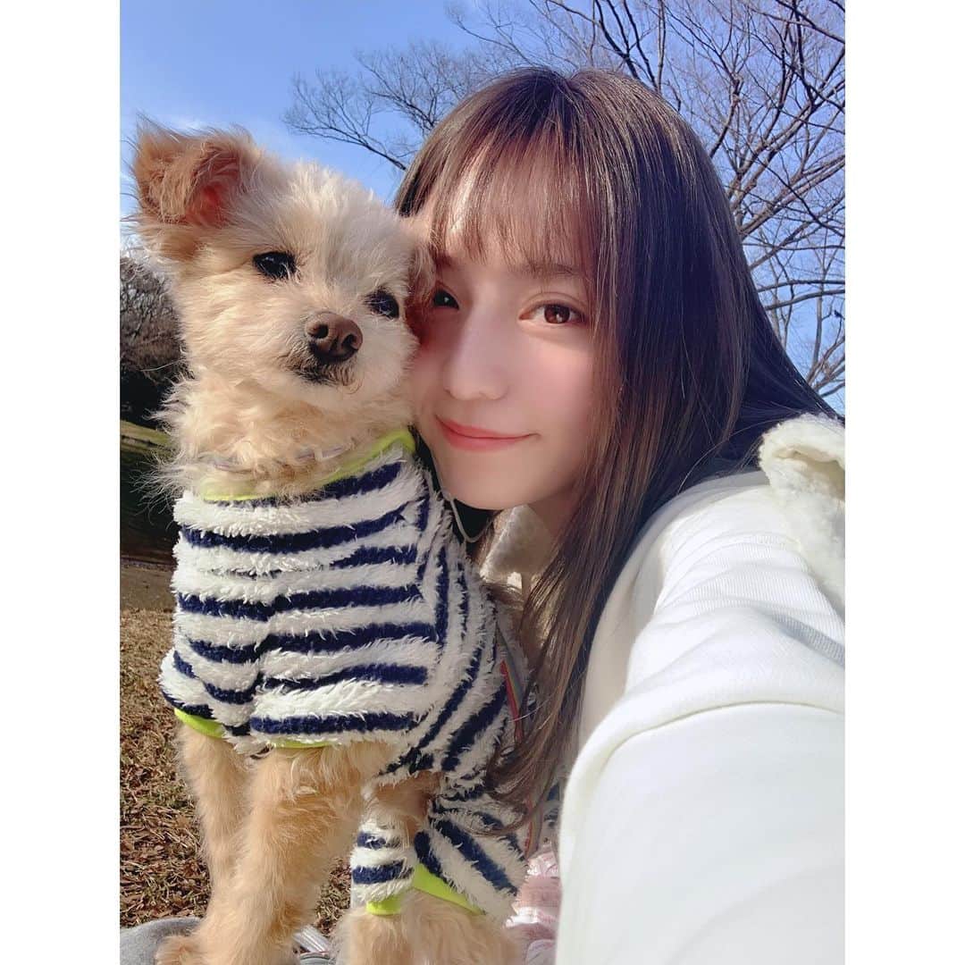 堀尾実咲のインスタグラム：「#gm ☀️ たまにはこっち系のお写真も...🐻♥️ #愛犬 #ポメプー #ロイ #秋のお写真 #過去pic」