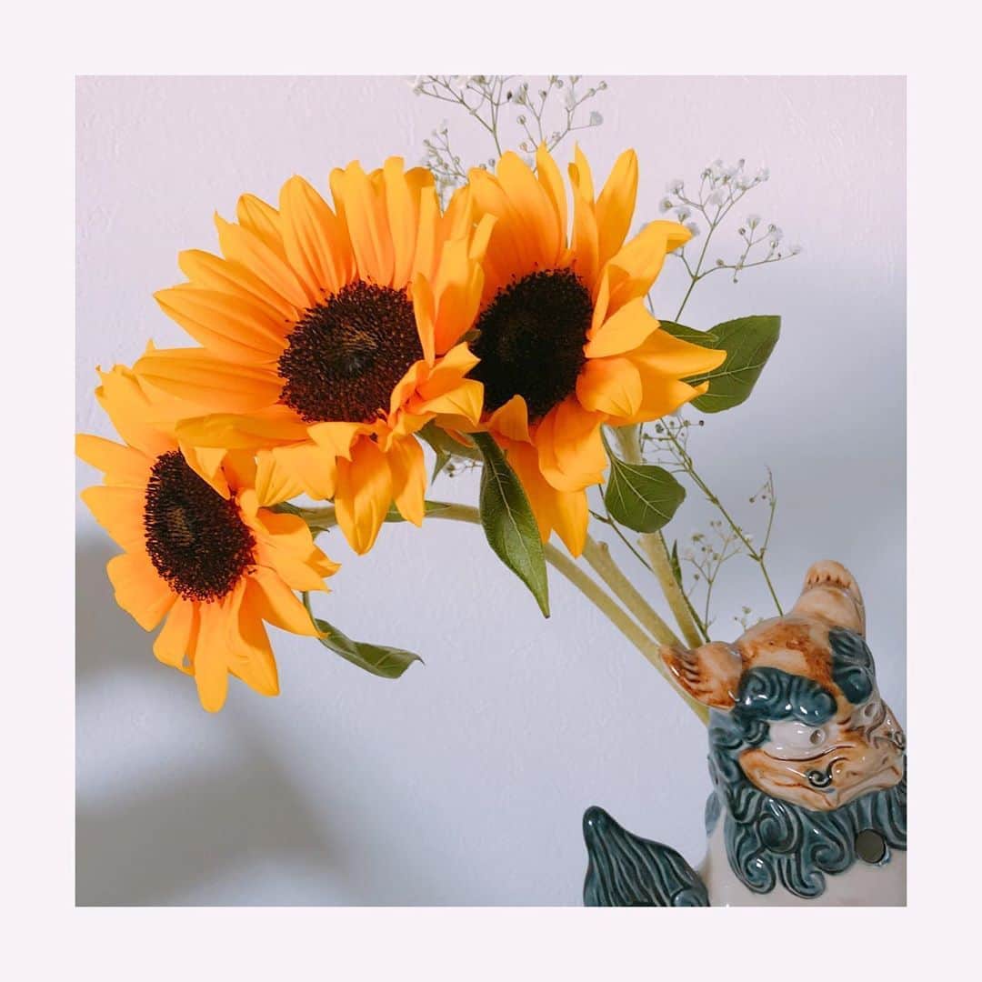 MIKUさんのインスタグラム写真 - (MIKUInstagram)「ひさびさのひまわり 🌻🌻🌻 やっぱりかわいい 🌻🌻🌻 #sunflower  #love」6月4日 9時13分 - miku39_ya