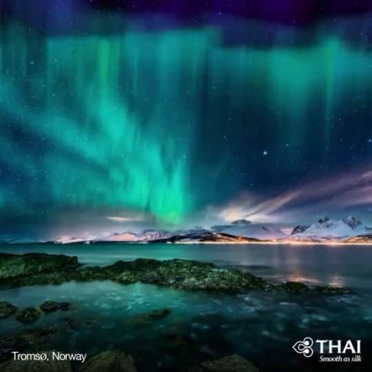 タイ航空のインスタグラム