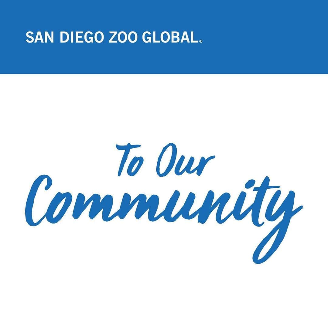 San Diego Zooさんのインスタグラム写真 - (San Diego ZooInstagram)「It has been heartbreaking to see what has happened across the country and in our own community over the past few days. The senseless killing of George Floyd, Breonna Taylor, Ahmaud Arbery, Eric Garner and so many more innocent black men and women is unacceptable and wrong on every level. It is devastating to see the injustices experienced by the black community throughout history only be responded to at a breaking point. History teaches us great and meaningful change comes through true reflection, understanding, healing and action.  The most important thing for us to do right now is to listen. Listen openly to each other, with the goal of learning and reaching for meaningful changes together. We recognize we have members of our community hurting and in pain right now, and it’s important all of us stand together in support, and then take action in our own lives and within our organizations.  In our efforts as a global nonprofit, we deeply understand that conservation is, at its heart, a human issue. And we can’t ask our guests, our supporters and our community to respect wildlife if we don’t first respect and value each other, and the beauty and differences that make us who we are. We are a richer community when we empower and enable diverse voices.  We all have a lot we can learn together from this moment. And we pledge to start within our own organization and industry to take steps toward greater inclusion of people of color. We have already begun this work, but it’s clear we must accelerate it.  We all have a responsibility to end injustice together. Let’s continue on that journey, to engage with each other and with the greater community.  With respect and support, San Diego Zoo Global」6月4日 10時01分 - sandiegozoo