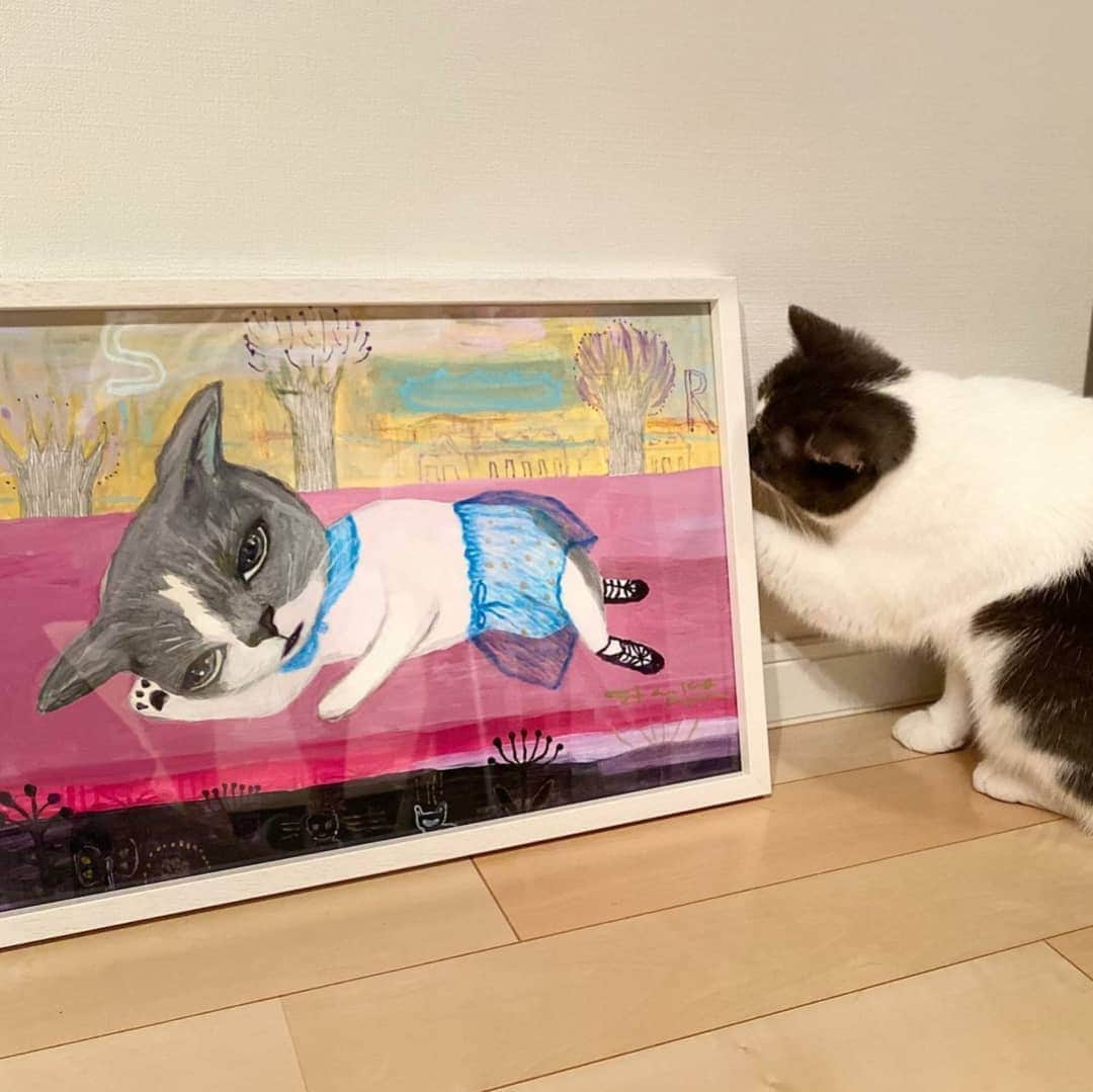 タンゲクンのインスタグラム：「そらちゃんの元にも届きました。 シースルーのスカートの秘密は お腹や足の可愛い表情も大切にしたいからです、シースルーにしたい訳じゃないのです 魅力的なぽってりお腹も見せたいじゃない☺️ ２枚目はなんて可愛い表情なのそらちゃん ありがとうございます #にて隊#にて隊ばんぷきん組 #にでた そらちゃんは鹿児島在住なの？」