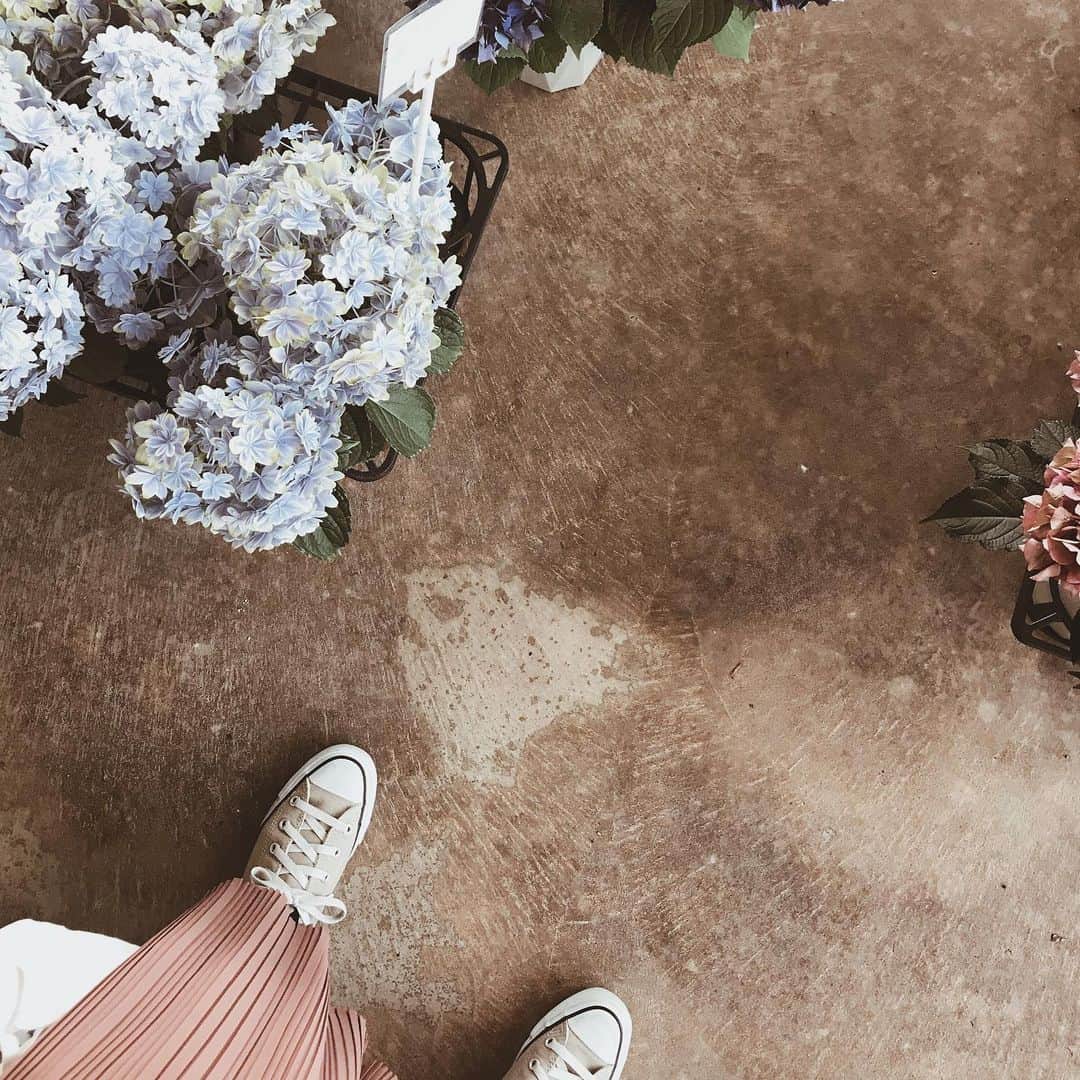 yuiのインスタグラム：「hydrangea season ❁」