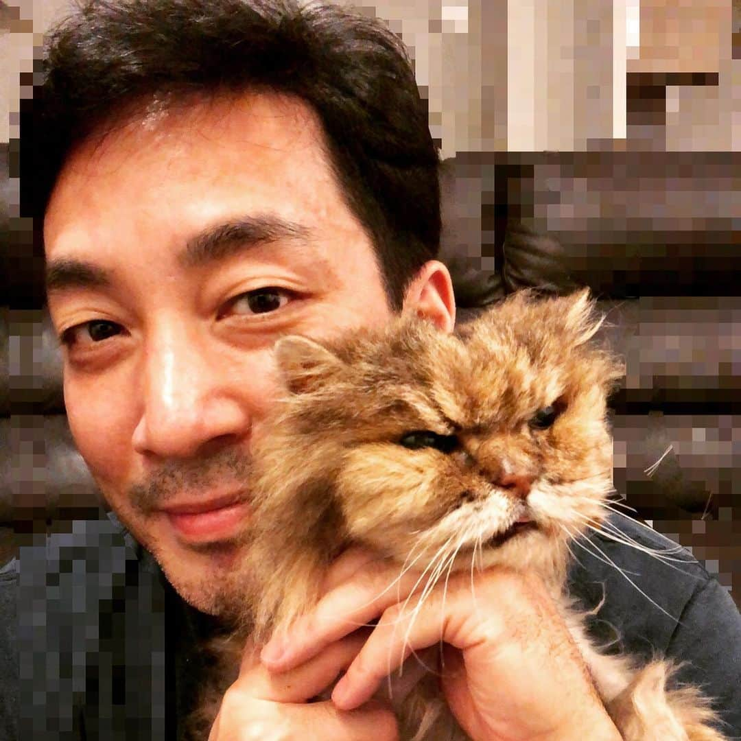 加山徹のインスタグラム：「昨日の夜21時37分、 愛猫アブーが天国へ旅立ちました。 最期は俺の腕の中でした。 23年と約1ヶ月、こんなに長い時間を一緒に生きてくれて本当にありがとう。 生前可愛がってくださったみなさんにもこの場を借りて心から感謝申し上げます。 最後1ヶ月つらかったかだろうけど、本当によく頑張ってくれました！その姿にどれだけ心を打たれたか…。 いつか俺もそっちに行くからね！また会おうな！アブー！  #愛猫 #アブー #ありがとう #大好きだよ #天国でも元気でね #また会おう #ねこすたぐらむ #にゃんすたぐらむ #だめだ涙がとまらないよ #加山徹」