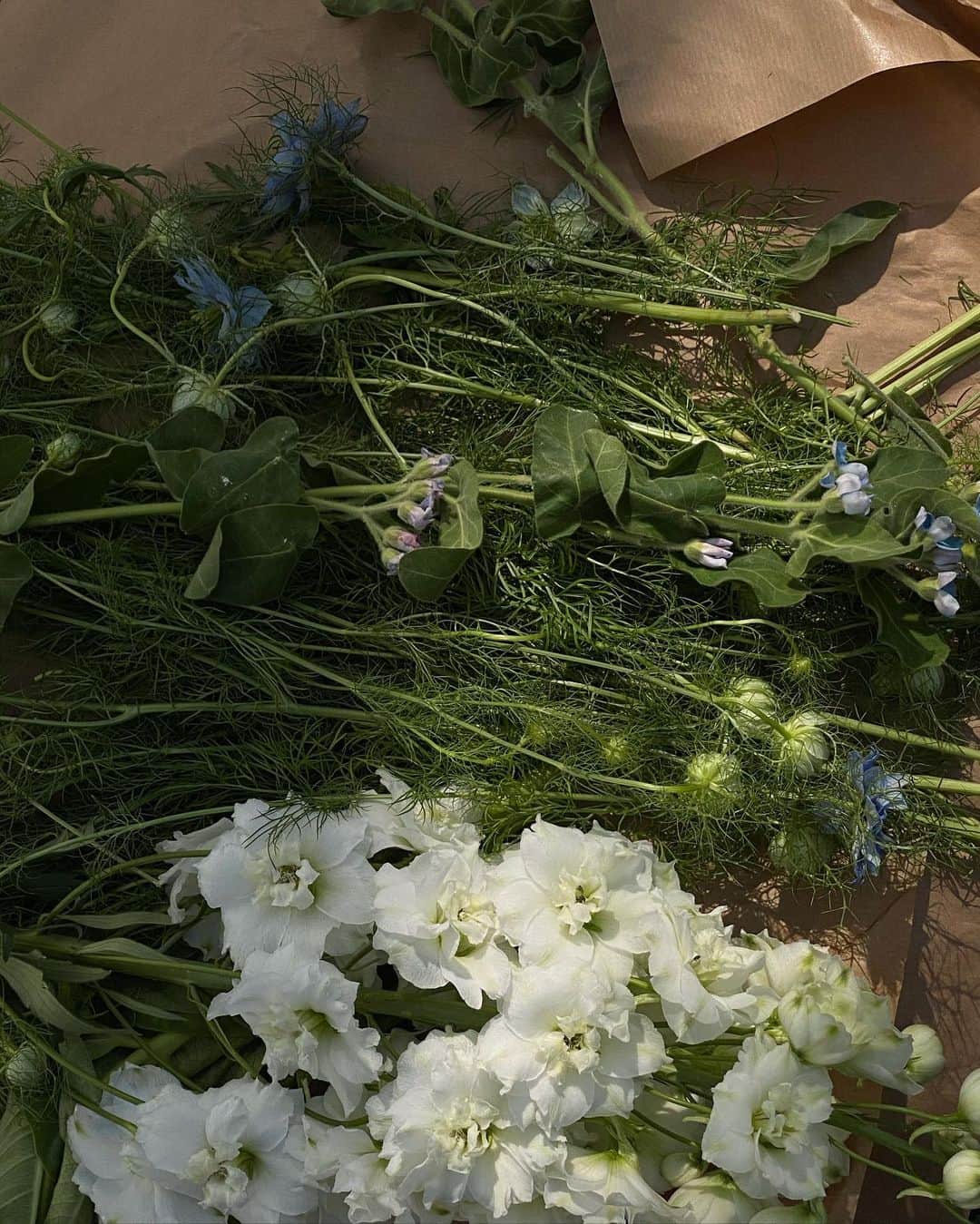 のインスタグラム：「Summer flowers @sophiegoehler」