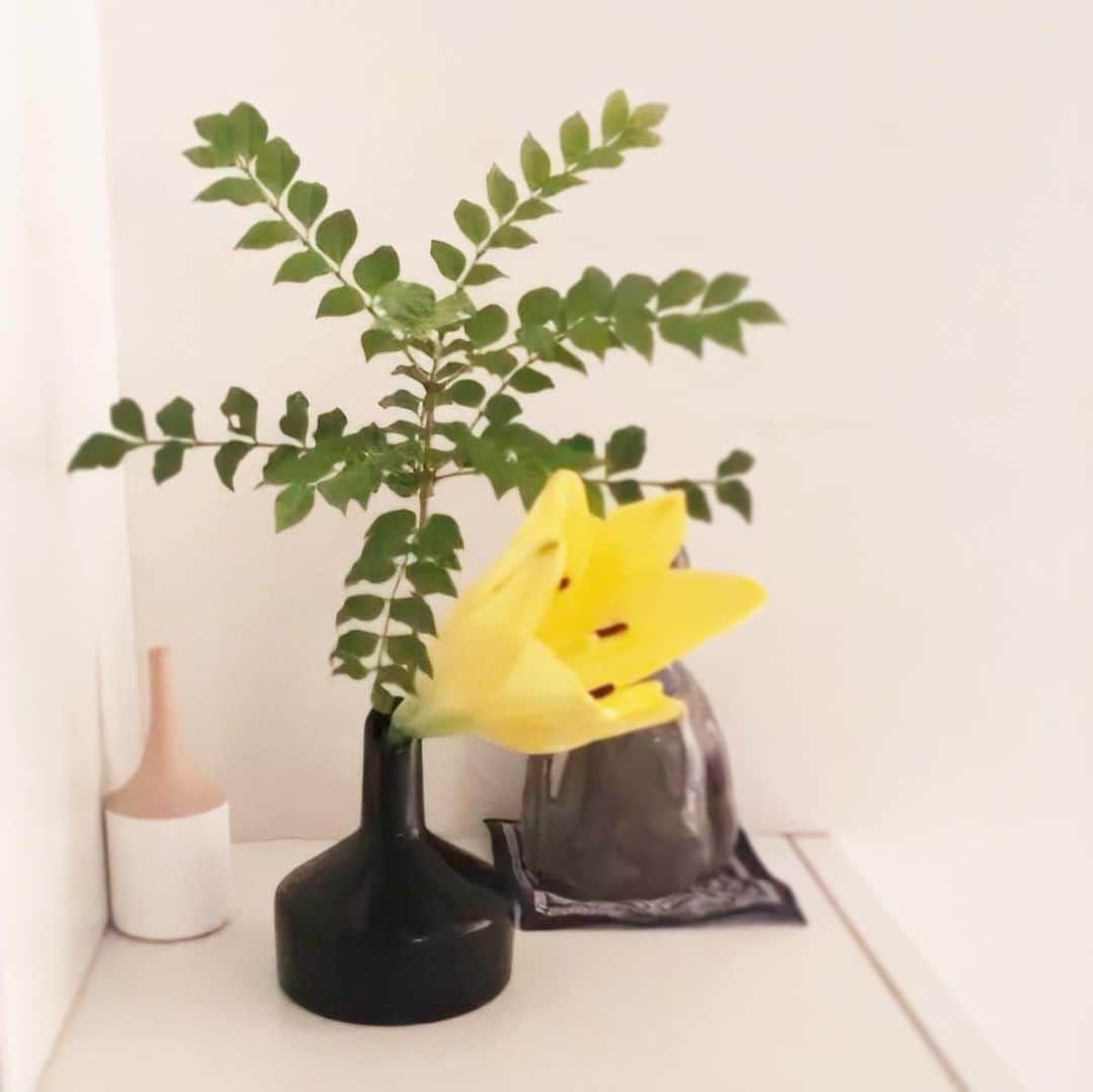 ecomfort（エコンフォート）さんのインスタグラム写真 - (ecomfort（エコンフォート）Instagram)「【おうち時間を快適にシリーズ　代表髙橋suzuki百合子】  寝室にも小さなお花  最近、寝室のベッドサイドにお花がほしくなって クリスティーナの小さなフラワーベースに買い求めたユリの花のひと茎を短く切って テラスの雑木の枝といっしょに挿してみました。  黒のベースと黄色のユリ、グリーンの葉がきれいでしょ。  クリスティーナのデザインは、機能を追及するスウェーデンらしく 下部分が大きく、安定している(寝室は特に必須)と同時に水がたくさん入って水切れを起こしにくいという優れモノ。  大ぶりでも小花でも、雑草でも、なんだかステキに見せてくれるクリスティーナがあるおかげで、いつでもお花を絶やさない暮らしになりました。  定価:	¥4,400(税込) 価格:	¥3,520 (税込) 20%OFF . . ✎プロフィールから詳しいサイズやお値段などの情報をご覧頂けます→@ecomfort_eoct  #エコンフォート #ecomfortHouse #サスティナブル #サスティナブルショップ #エコ　#サスティナブルな暮らし #暮らしを楽しむ #丁寧な暮らし #おうち時間をもっと快適に　#おうち時間をもっとたのしく #おうち時間 #テレワーク #リモートワーク #在宅勤務　#北欧 #今日の買い物が未来を変える #ホームデトックス　#花のある暮らし  #designkristinastark」5月20日 19時30分 - ecomfort_eoct