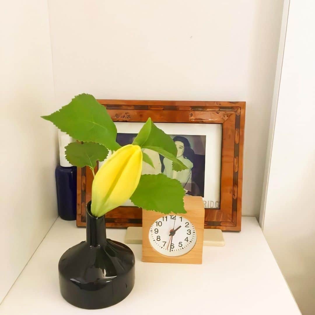 ecomfort（エコンフォート）さんのインスタグラム写真 - (ecomfort（エコンフォート）Instagram)「【おうち時間を快適にシリーズ　代表髙橋suzuki百合子】  寝室にも小さなお花  最近、寝室のベッドサイドにお花がほしくなって クリスティーナの小さなフラワーベースに買い求めたユリの花のひと茎を短く切って テラスの雑木の枝といっしょに挿してみました。  黒のベースと黄色のユリ、グリーンの葉がきれいでしょ。  クリスティーナのデザインは、機能を追及するスウェーデンらしく 下部分が大きく、安定している(寝室は特に必須)と同時に水がたくさん入って水切れを起こしにくいという優れモノ。  大ぶりでも小花でも、雑草でも、なんだかステキに見せてくれるクリスティーナがあるおかげで、いつでもお花を絶やさない暮らしになりました。  定価:	¥4,400(税込) 価格:	¥3,520 (税込) 20%OFF . . ✎プロフィールから詳しいサイズやお値段などの情報をご覧頂けます→@ecomfort_eoct  #エコンフォート #ecomfortHouse #サスティナブル #サスティナブルショップ #エコ　#サスティナブルな暮らし #暮らしを楽しむ #丁寧な暮らし #おうち時間をもっと快適に　#おうち時間をもっとたのしく #おうち時間 #テレワーク #リモートワーク #在宅勤務　#北欧 #今日の買い物が未来を変える #ホームデトックス　#花のある暮らし  #designkristinastark」5月20日 19時30分 - ecomfort_eoct