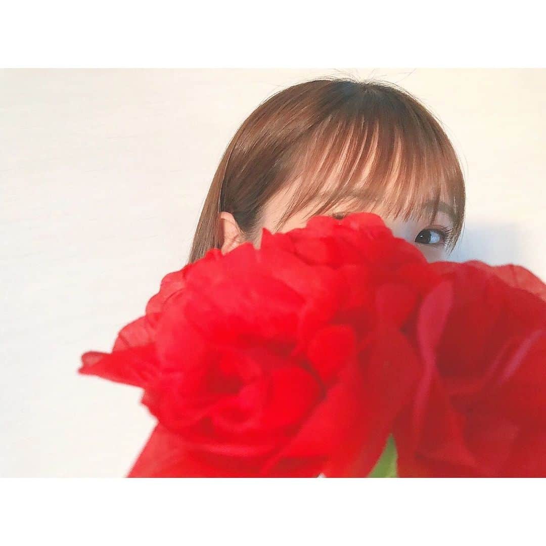 坂本 愛玲菜さんのインスタグラム写真 - (坂本 愛玲菜Instagram)「🌹 黄色い花の次は赤い花。 パッと見わたしのインスタを見たあなたは「この人花好き？」と思うかもしれませんが、花好きです。 . でもこの花は . #百均の造花  #百均の花 で #インスタ映え  #百均クオリティ」5月20日 19時30分 - erena_hkt48