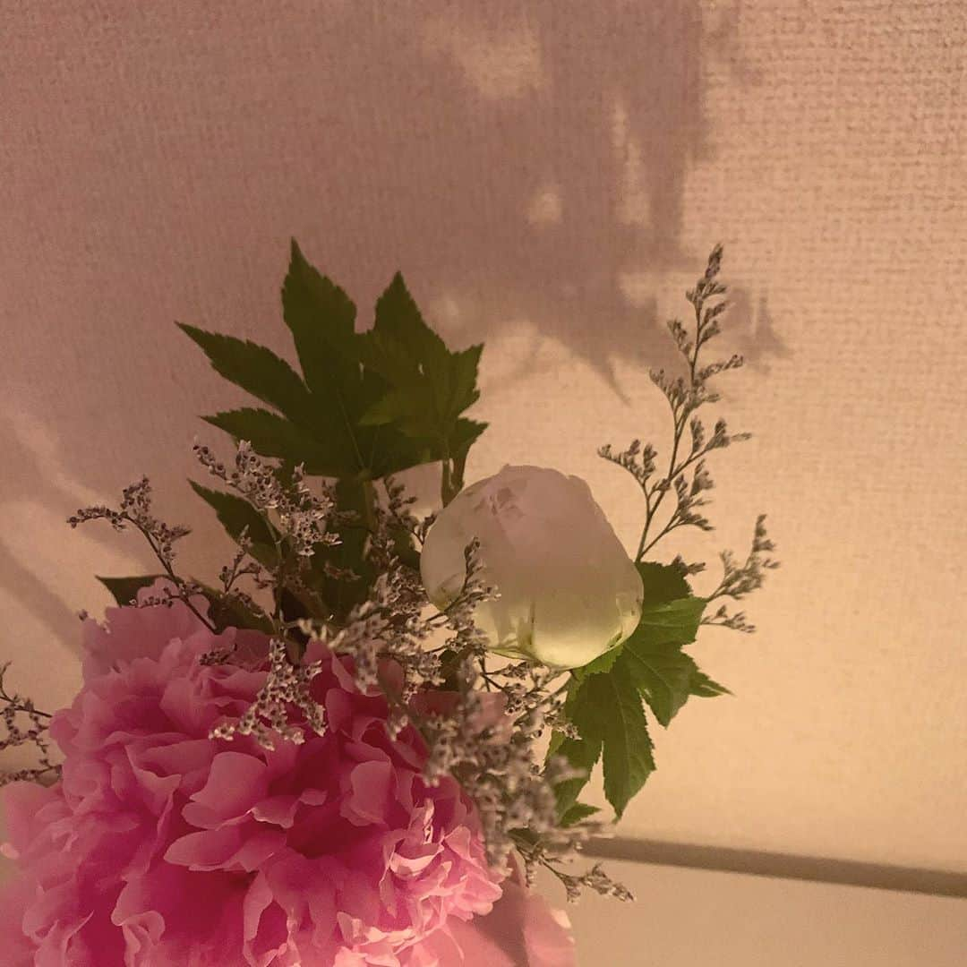 豊島心桜さんのインスタグラム写真 - (豊島心桜Instagram)「♡ 明日、朝6時50分頃〜 めざましテレビ"イマドキ"です！ 是非見てください👀 ･ ･ #フジテレビ #めざましテレビ #イマドキ #イマドキガール #豊島心桜 #高校2年生 #16歳 #写真撮るの忘れた あああああああああ #なので #お部屋 の #芍薬 さんです。」5月20日 19時42分 - cocorotoyoshima_official