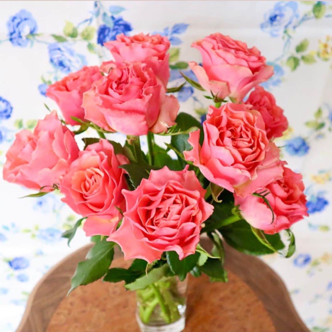 野本愛さんのインスタグラム写真 - (野本愛Instagram)「今日﻿すごく可愛いピンクの薔薇をゲットしたよ😍💕﻿ ﻿ フリフリの花びらなの😊🌹🌹﻿ ﻿ 私、薔薇が1番好き〜🌹✨﻿ ﻿ 華やかで綺麗で香りも良いし、﻿ トゲがついてて﻿ 気安く触らないで👸🏻✋﻿ って感じがツンデレみたいでいい🥰💕💕💕﻿ ﻿ お部屋が華やいだ🥰💖💖﻿ ﻿ 華やかな空間はやっぱりいいな💕﻿ ﻿ #花のある暮らし #薔薇のある暮らし #薔薇大好き #お花のある生活 #お花大好き #華やかな花 #おうち時間 #ステイホーム #癒しの空間 #ピンクローズ #roses #pinkroses #stayhome #luxurylifestyle」5月20日 20時03分 - himemode