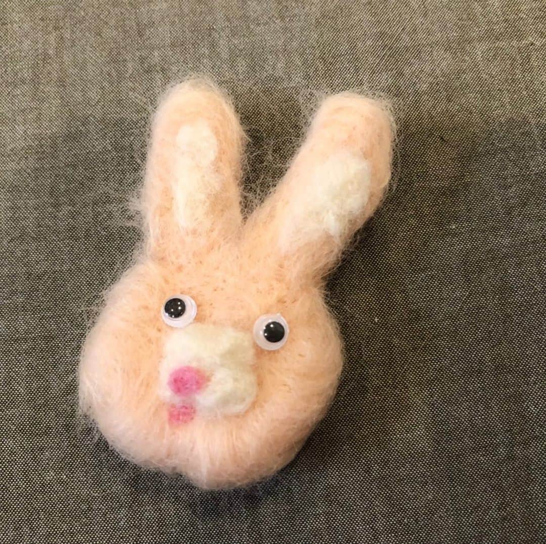 光浦靖子さんのインスタグラム写真 - (光浦靖子Instagram)「たんぽぽの白鳥さんが誕生日プレゼントです、と尿検査をしたほうが良さそうな顔のウサギの画像を送ってくれました。 #白鳥久美子」5月20日 20時07分 - yasukomitsuura