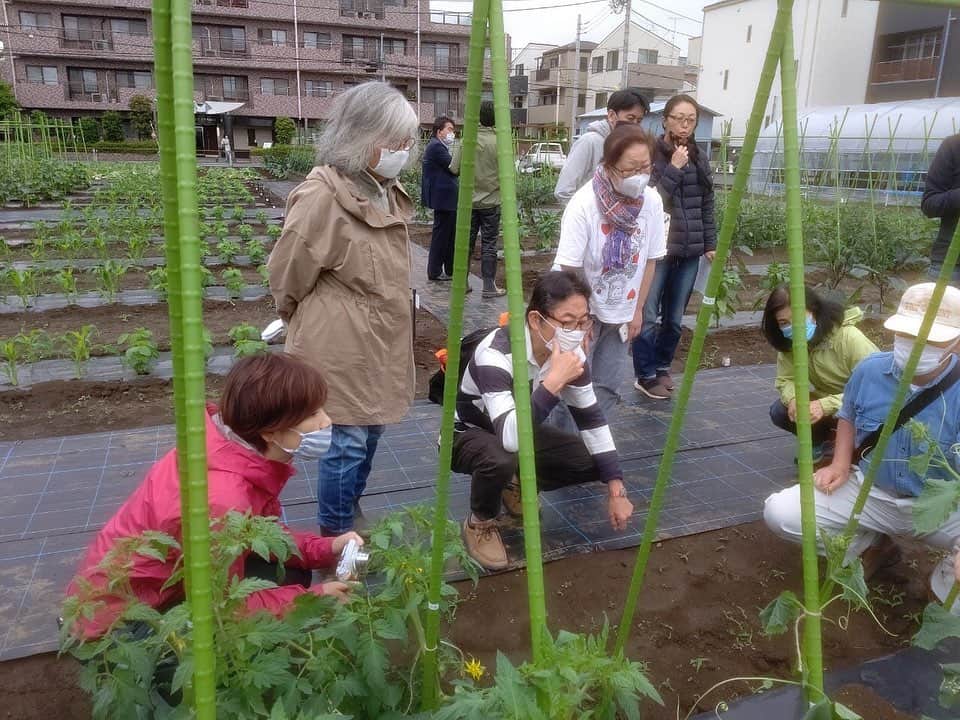小谷あゆみのインスタグラム：「ステイホームよりステイファーム‼️ 世田谷の　#玉堤体験農園 いよいよ今日から始まりました！ 枝豆、とうもろこし、トマト、きゅうり、茄子、ピーマンなど夏野菜６種類ー！ ステイホームで4月の開園式が見送られ、苗の植え付けはJAさんに一任することになり、今日は初めての説明会！ なんと25組の皆さん5回に分けて説明会です。 利用者さんは農園主の早川さんの野菜ファンがほとんどです。 実は前々から早川さんに畑の端っこを貸してくださいよ〜とお願いしていた人や、虫好きのちびっこ家族、野菜好きのご夫妻など〜 そしてわたくし #JA世田谷目黒 #畑のちから菜園部長　に任命いただきました！ 広報担当として世田谷の都市農業を発信しまーす！ つづきはまたブログで〜 いやー半日畑で土いじりで癒されました〜♡ #growyourown  #growyourownfood  #stayfarm #cityfarm #ediblecity #体験農園 #家庭菜園 #野菜づくり」