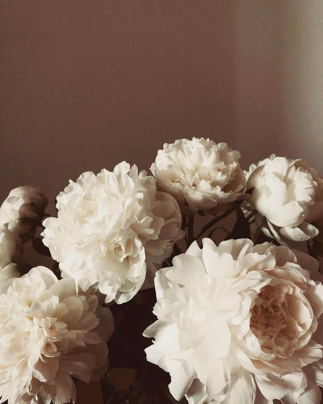 霧島れいかのインスタグラム：「「おっはよございまっす🎶きゃぴっ」 って言う感じのお花じゃないですよね。 芍薬の花って。  どちらかと言うと…  芍　薬美さん「お目覚めですか？おはよう御座います。」 霧島　「あ、おはよう…ございます。」 芍　薬美さん「良い夢はご覧になられましたか？」 霧島「えっと、飛ぶ夢でちょっとしんどかったですね。 高く飛べなくて…」 芍　薬美さん「それはそれは。　もしかしたら ストレスをお溜めになられているかもしれませんね。 お茶でもお入れしますので私達でよろしければ お話お聞かせください。」 霧島「あ、ありがとうございます。あ、でも ちょっとコンビニにアイス買いに行きたいんですけど」 芍　薬美さん「行ってらっしゃいませ。 足元お気をつけて。お茶をご用意しておきますね」 霧島「あ、恐れ入ります。」 芍　薬美さん「あ、私達の膨み具合から恐らく 外は雨じゃないかなと。傘をお持ちになってくださいね」 霧島「ありがとうございます。あ、ほんとだ。行ってきます」  そんなイメージのお花です。  #peony #peonies#peonylove  #芍薬#ふわふわ#霧島妄想劇場」