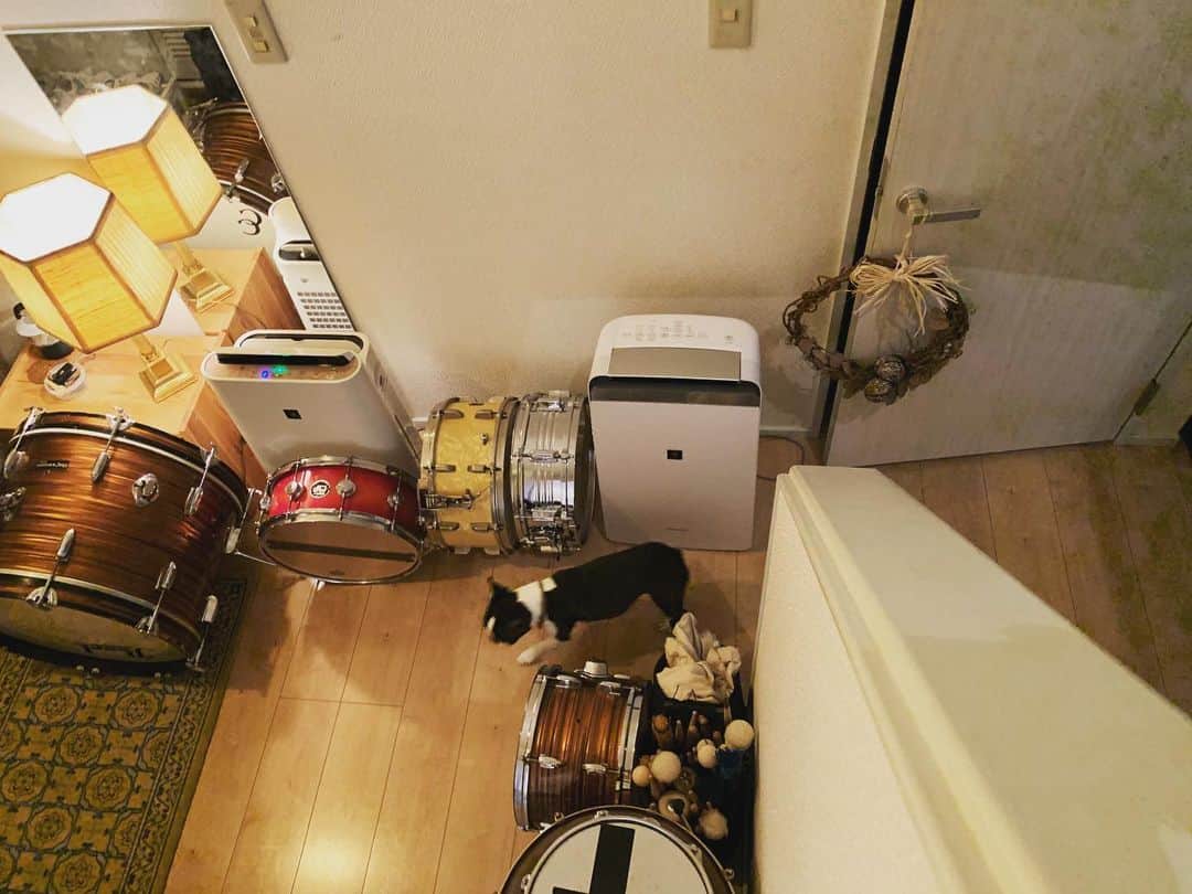 神谷洵平さんのインスタグラム写真 - (神谷洵平Instagram)「玄関に散らかったドラムはまあ邪魔だが、ここにそれらがあるのを眺めるのは好き。 なんか動物が紛れ込んでいる。 #趣味」5月20日 20時30分 - junpeikamiya