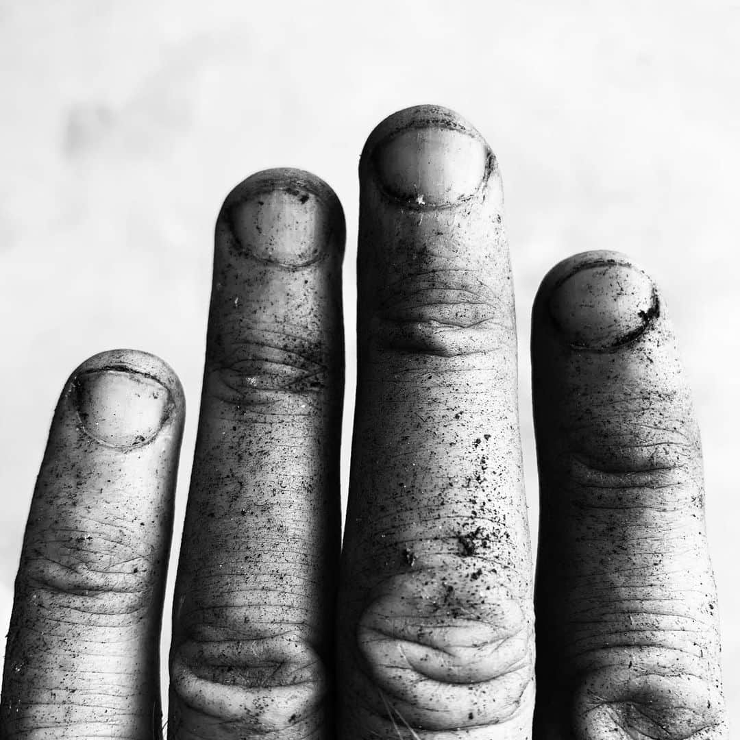 ブライアン・アダムスのインスタグラム：「Gettin’ ma hands dirty. #covid19 #gardenisolation #cavolonero #dinosaurkale #dirtyhands #vegan」