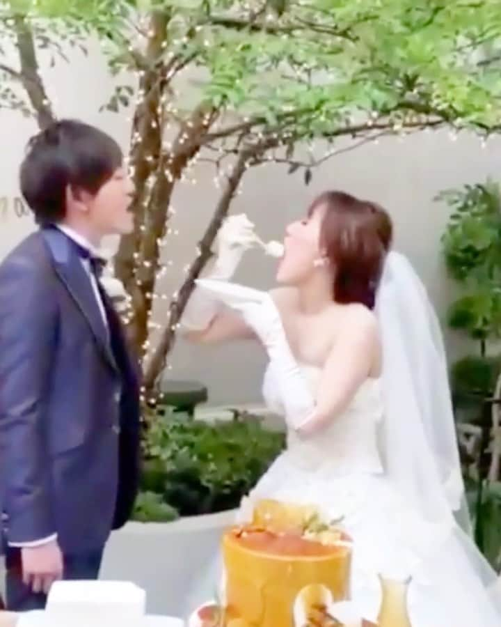 プレ花嫁の結婚式準備アプリ♡ -ウェディングニュースのインスタグラム