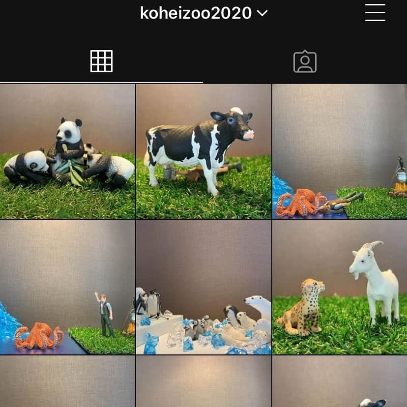 のインスタグラム：「これからは動物園園長！  @koheizoo2020」