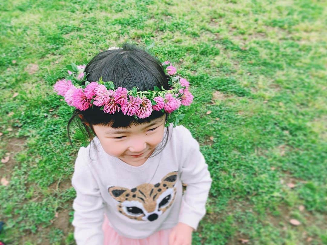 kinaxのインスタグラム：「. good night✨🌙 . 今日は少し寒かったね☔️ 週末まで雨予報だけど 暑くなったり冷え込んだりするので みんなも体調崩さないようにね。 . . そういえば最近、ソルが鳴きながら 体をスリスリしてくるんだけど どうしたのーって触ると逃げられるよʕ •́؈•̀ ₎ . . 鳴きながら、足の間を8の字にグルグルするから 甘えてるのかな、と思ったんだけど… さっと逃げて離れたところで寝転ぶので 撫でに行くと逃げるし 何もしないとまたスリスリしに来るんですけども どうしたら正解ですかー😂？ . 猫ちゃんて難しいねぇ😂 . . 猫飼い先輩教えてくださーい😂 . . みんなもゆっくり眠れますように💤 . #親バカ部 #はなかんむり #あかつめくさ #猫飼い初心者 #難易度がたかい 2020/05/20」