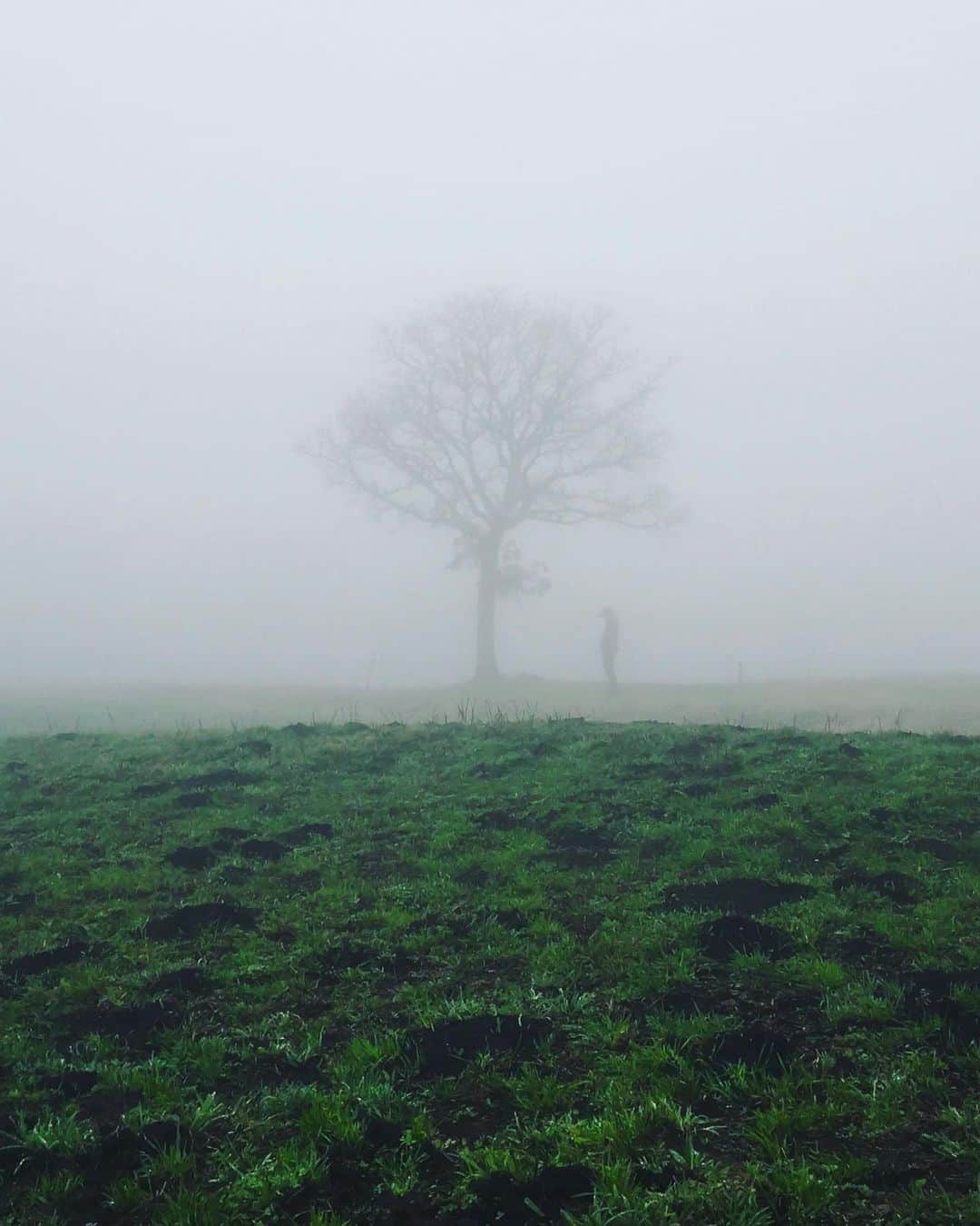 Koichiのインスタグラム：「| Silence . #Hellofrom #Shizuoka #BeautifulJapan .」